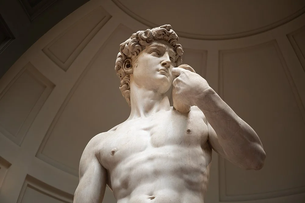 David-2W.jpg