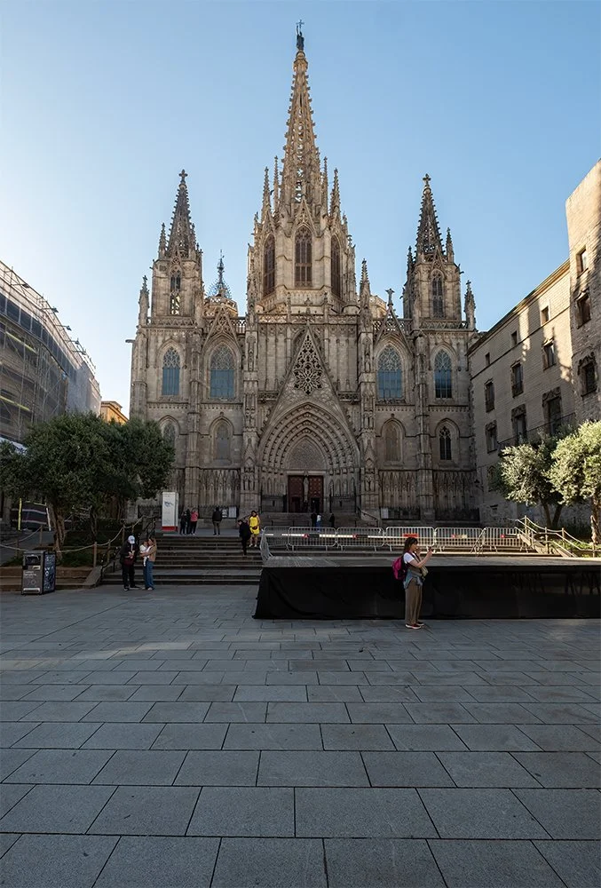 catedral-de-barcelona-desde-la-plazaW copy.jpg