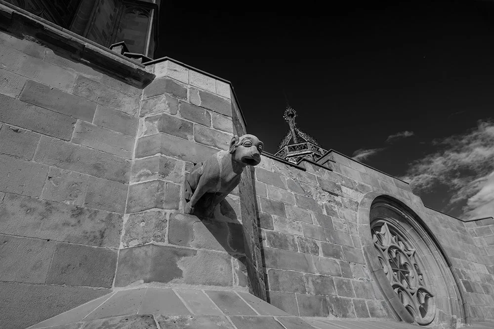 gargola-catedral-barcelona-BWw copy.jpg