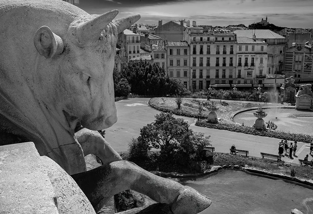 el-toro-del-palais-du-longchampW copy.jpg