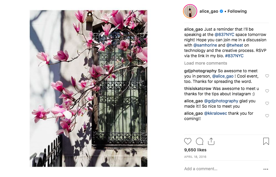 Screenshot 2018-11-07 15.19.11.png