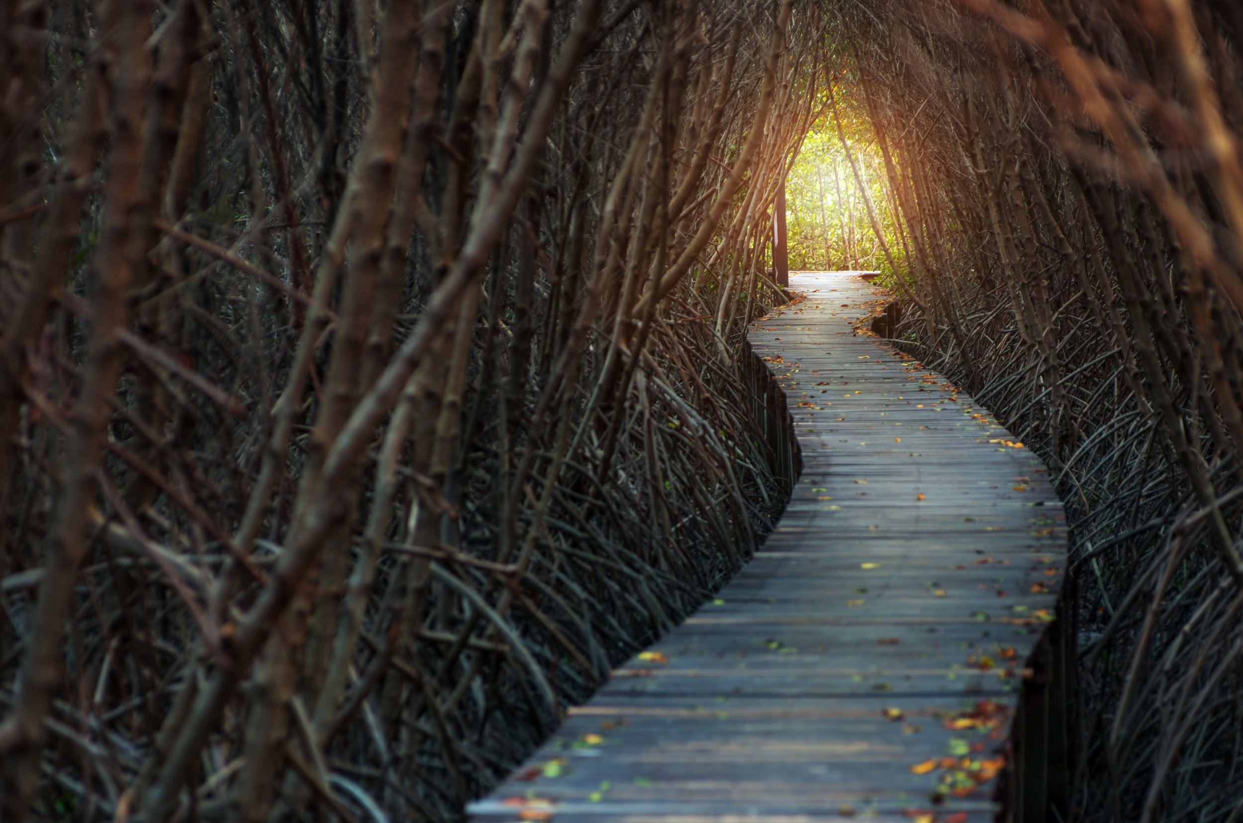 AdobeStock_117837919.jpg