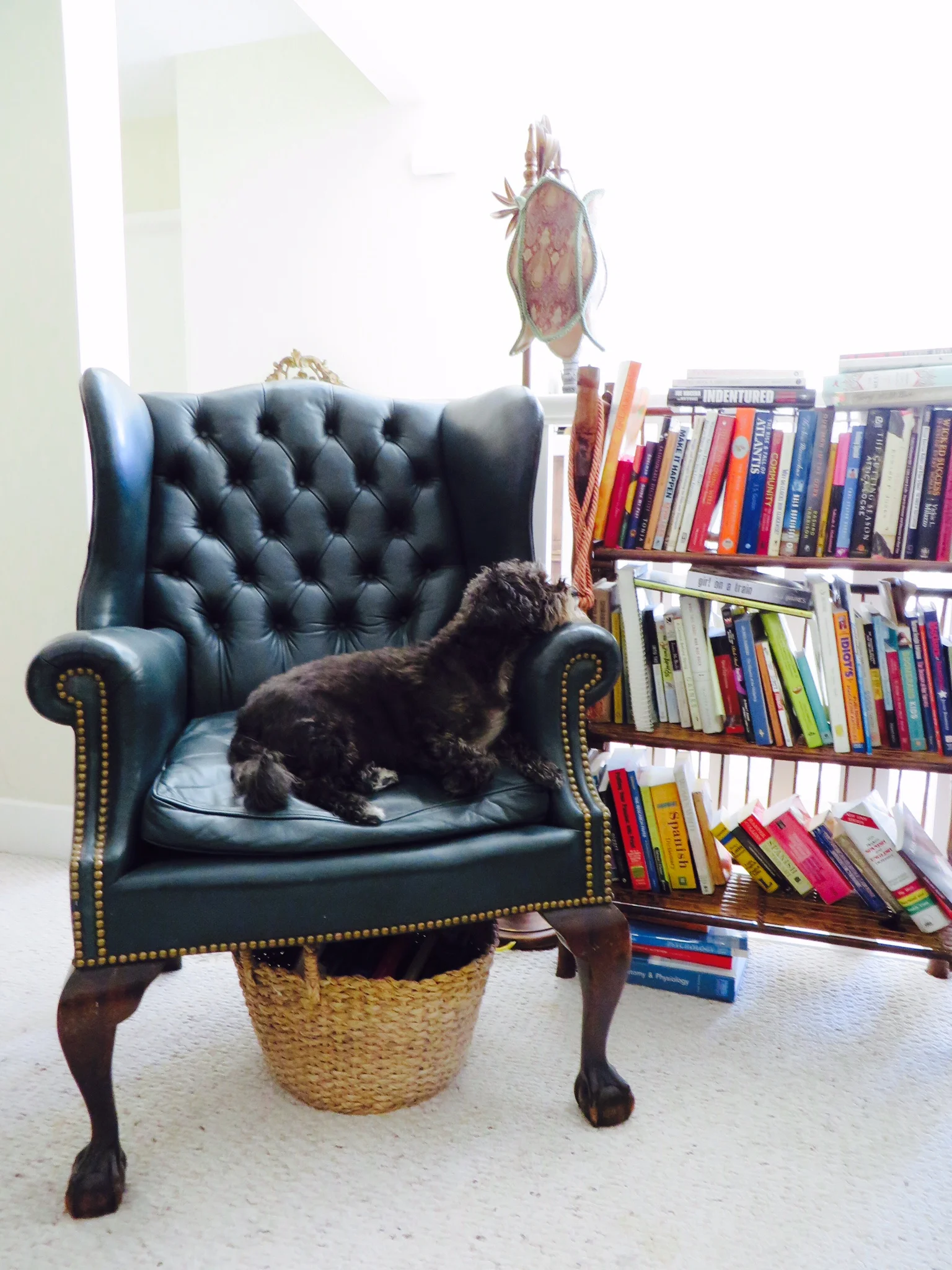 Juicy Chair Books FNL.jpg