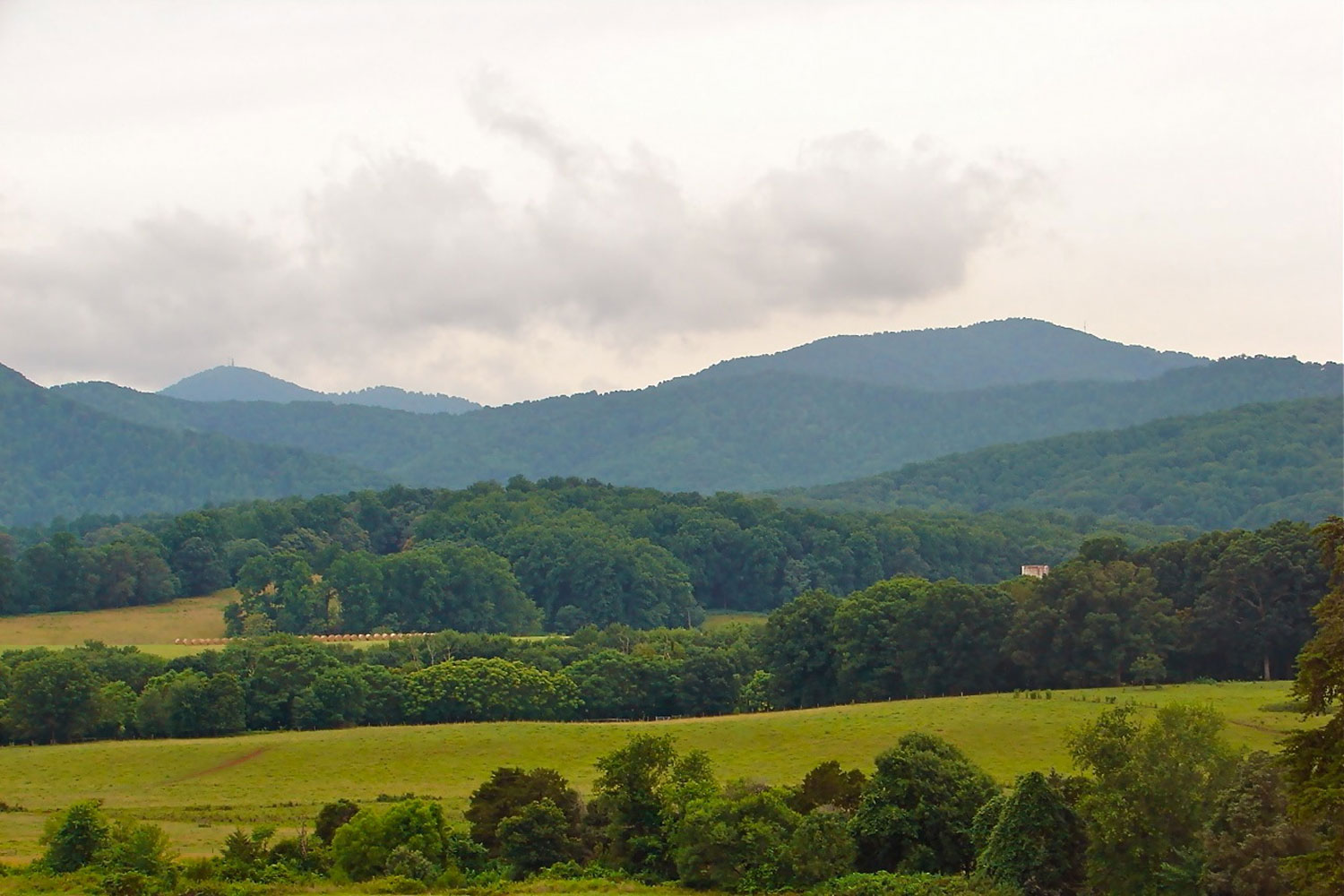 winery-pippin-hill-farm-background.jpg
