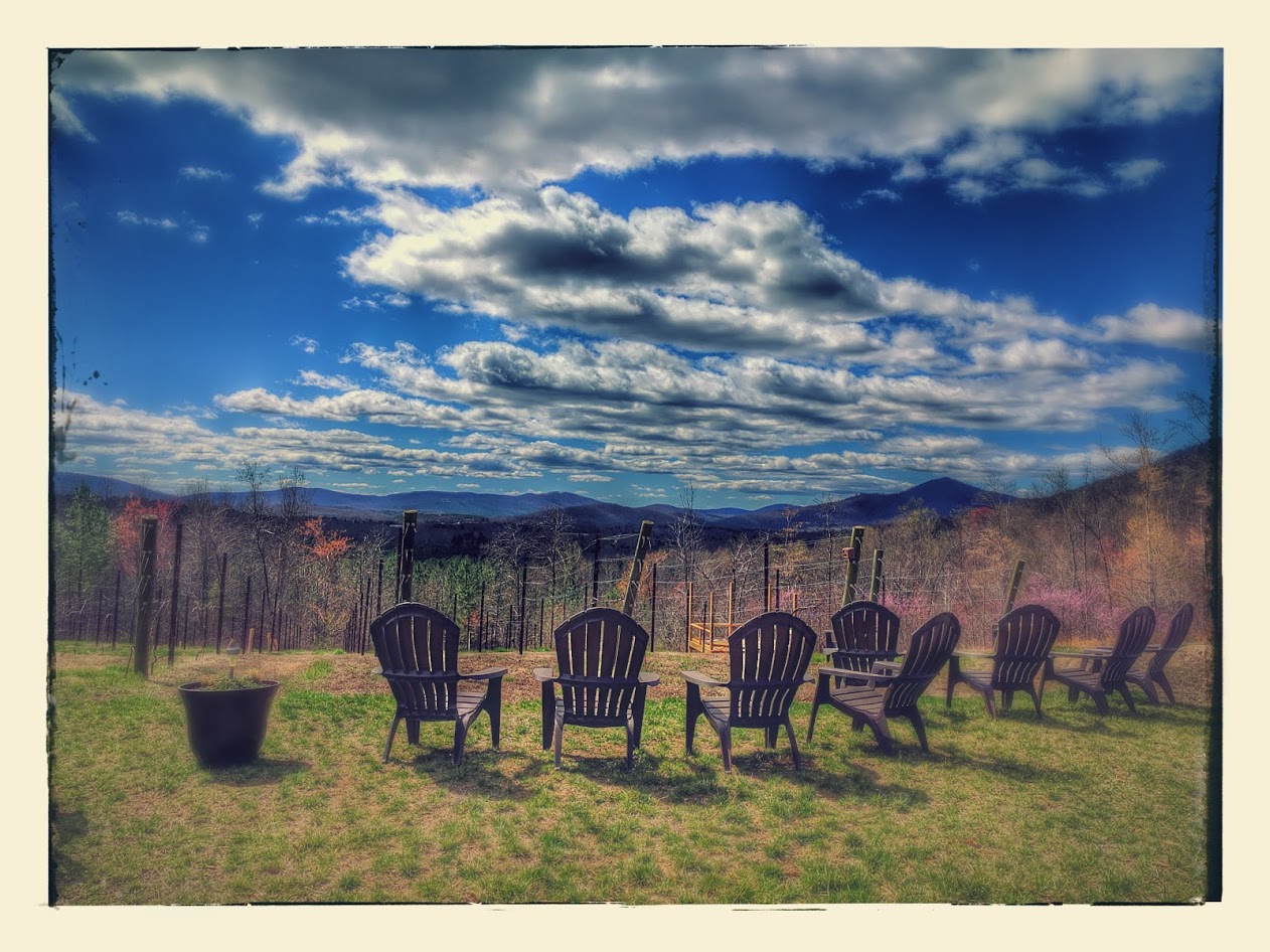 view.jpg