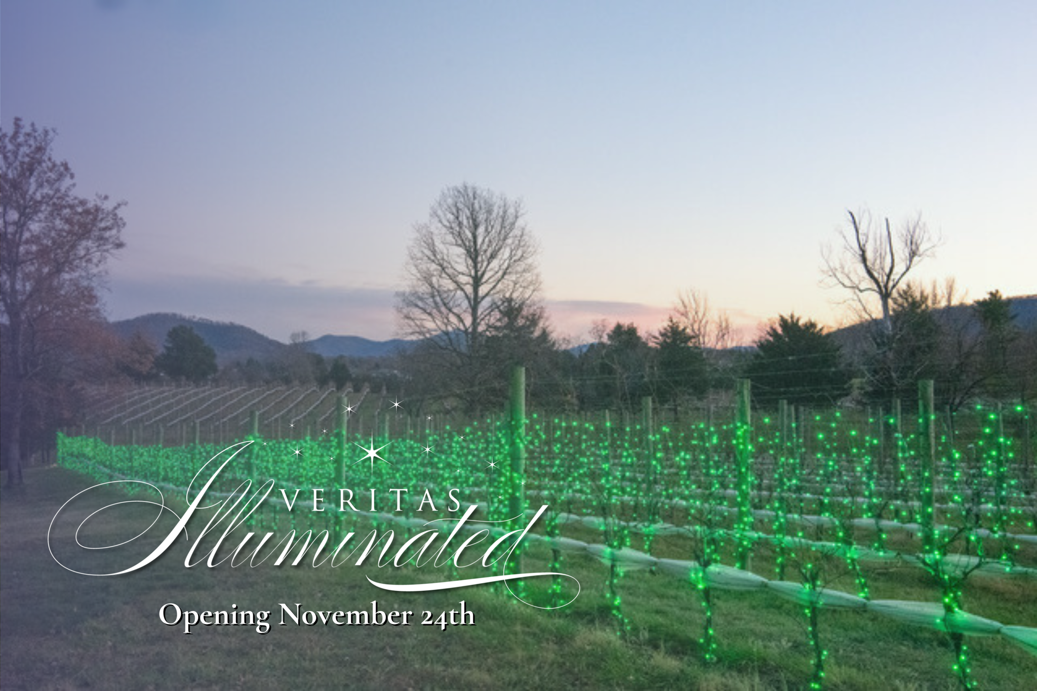 Veritas Illuminated @ Veritas Winery