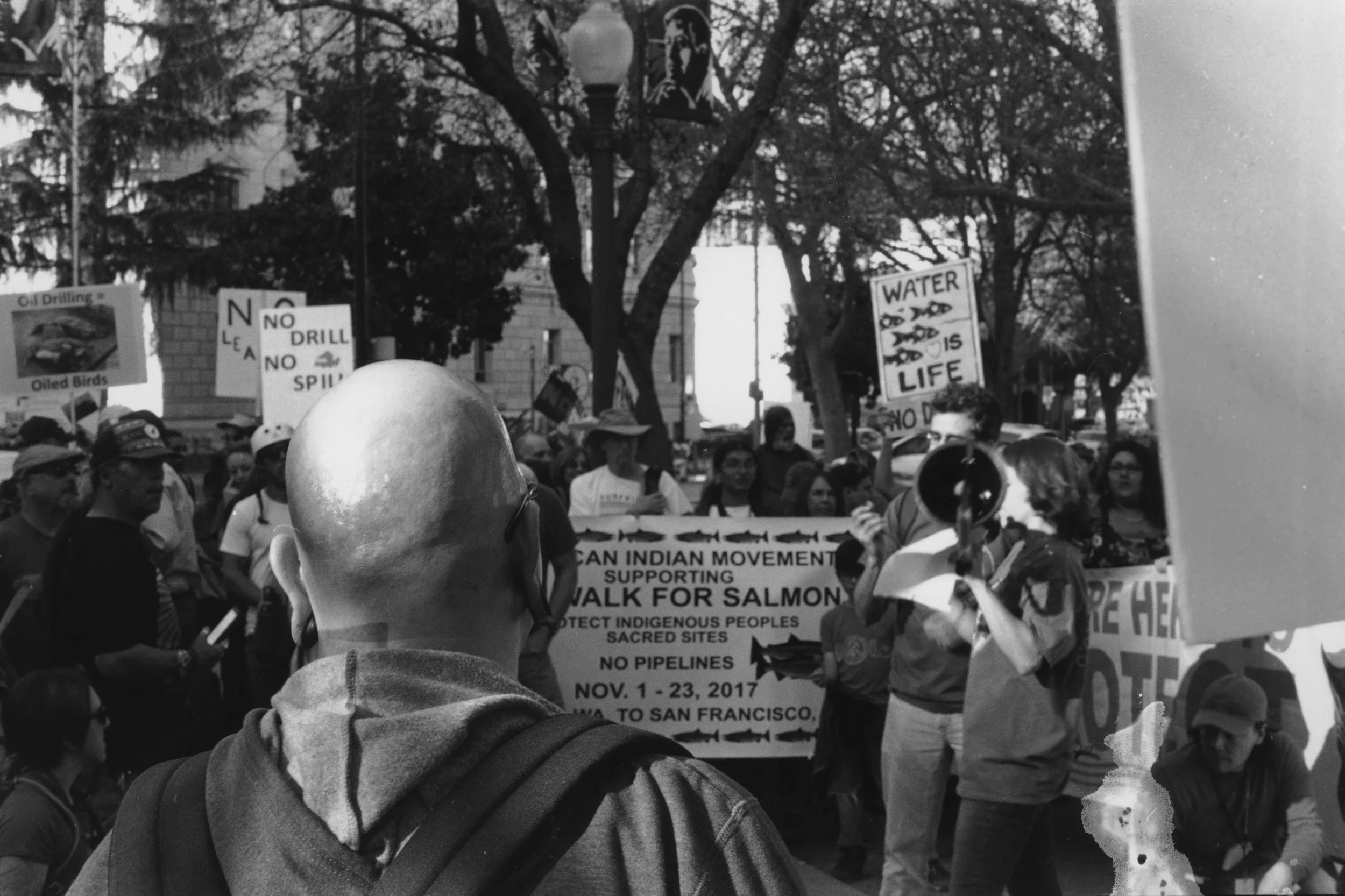 bald guy protest.jpg
