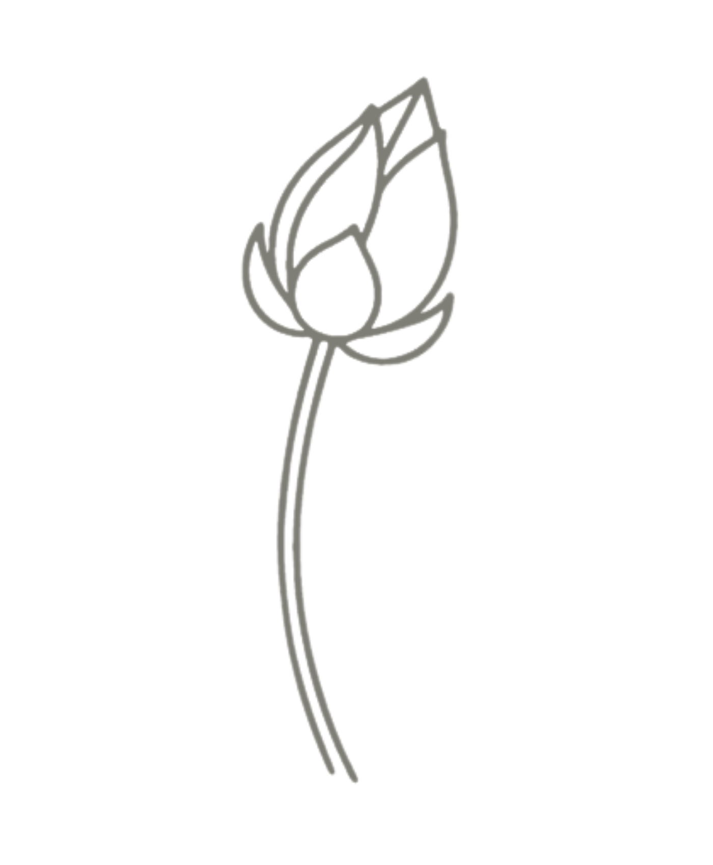 Outline drawing of a single rose on a black background.