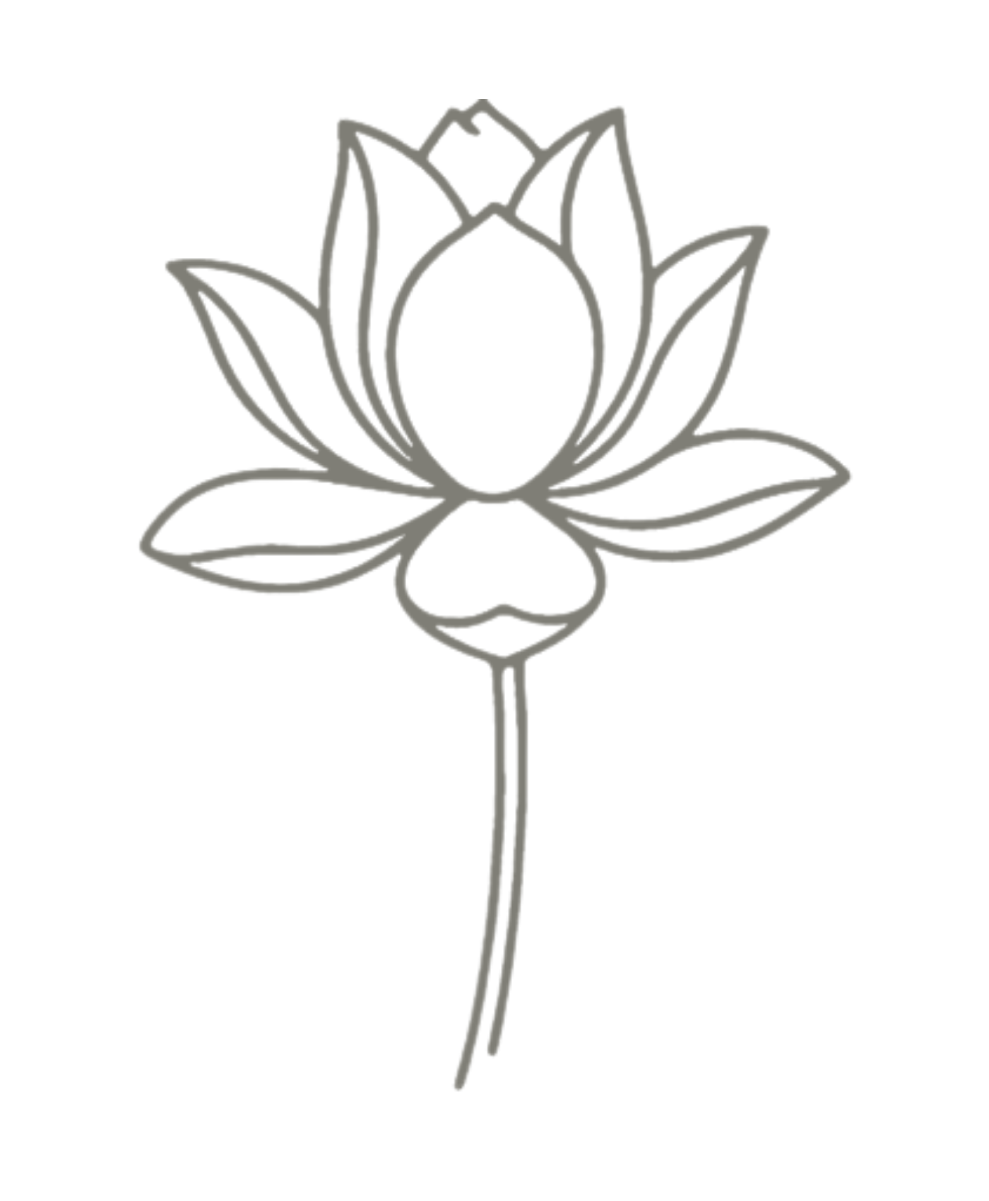A line drawing of a flower with a single stem, a rounded bulb-shaped center, and several pointed petals and leaves surrounding it.