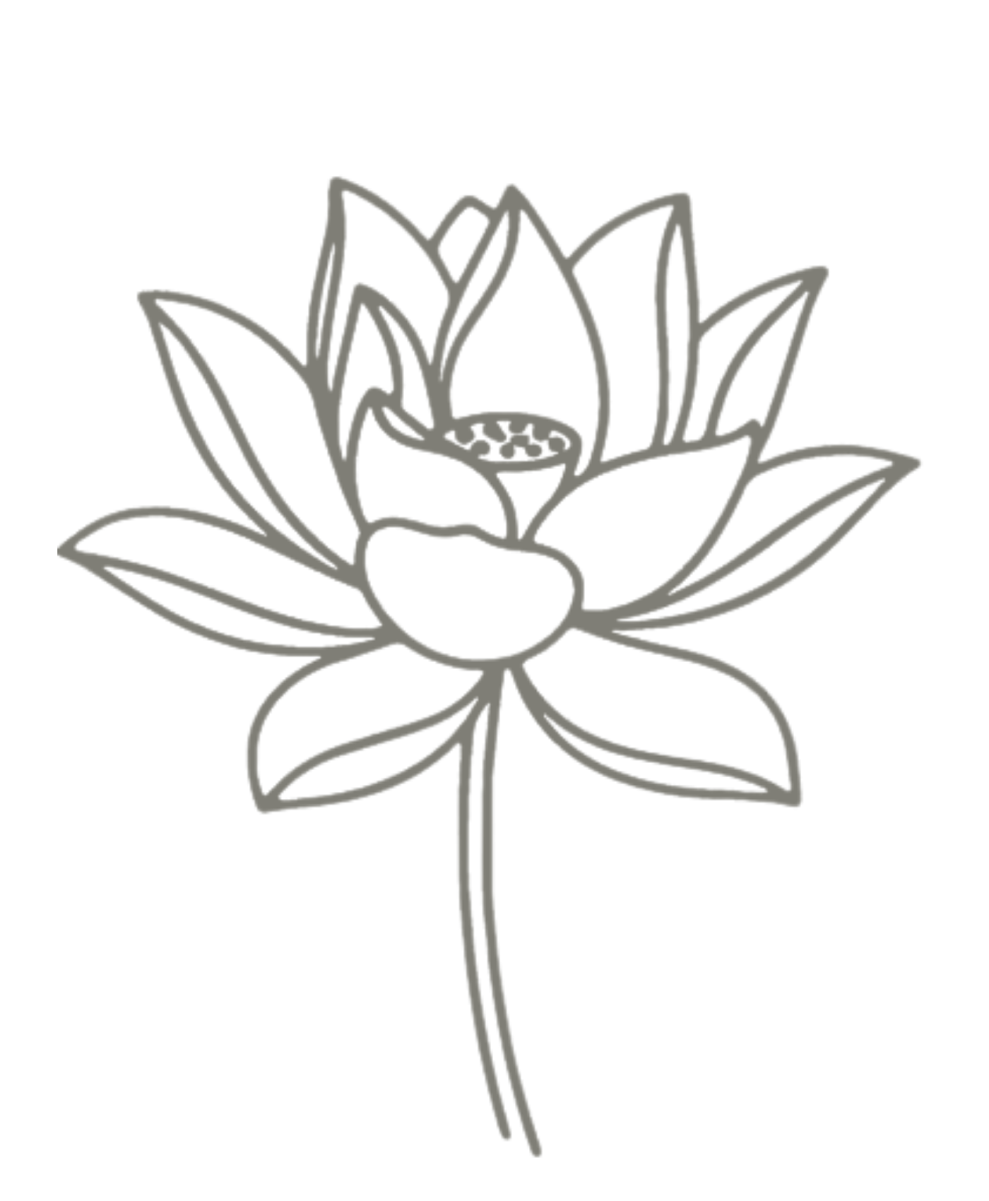 Outline drawing of a flower with petals, leaves, and a stem.