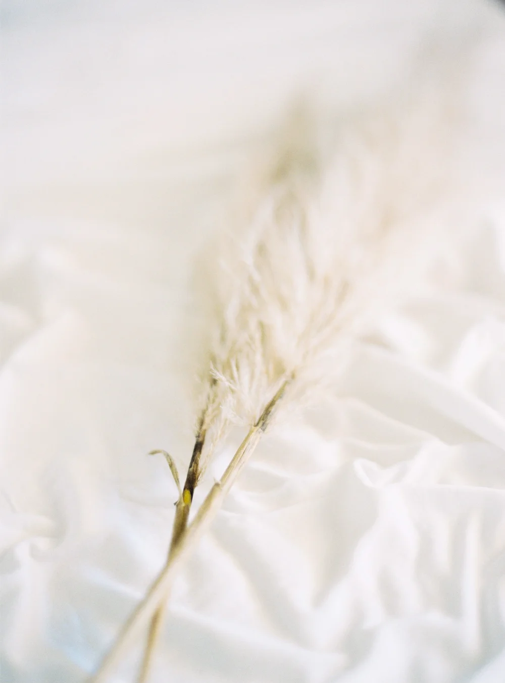 00015- Firgrove Bridal Boudoir_.jpg