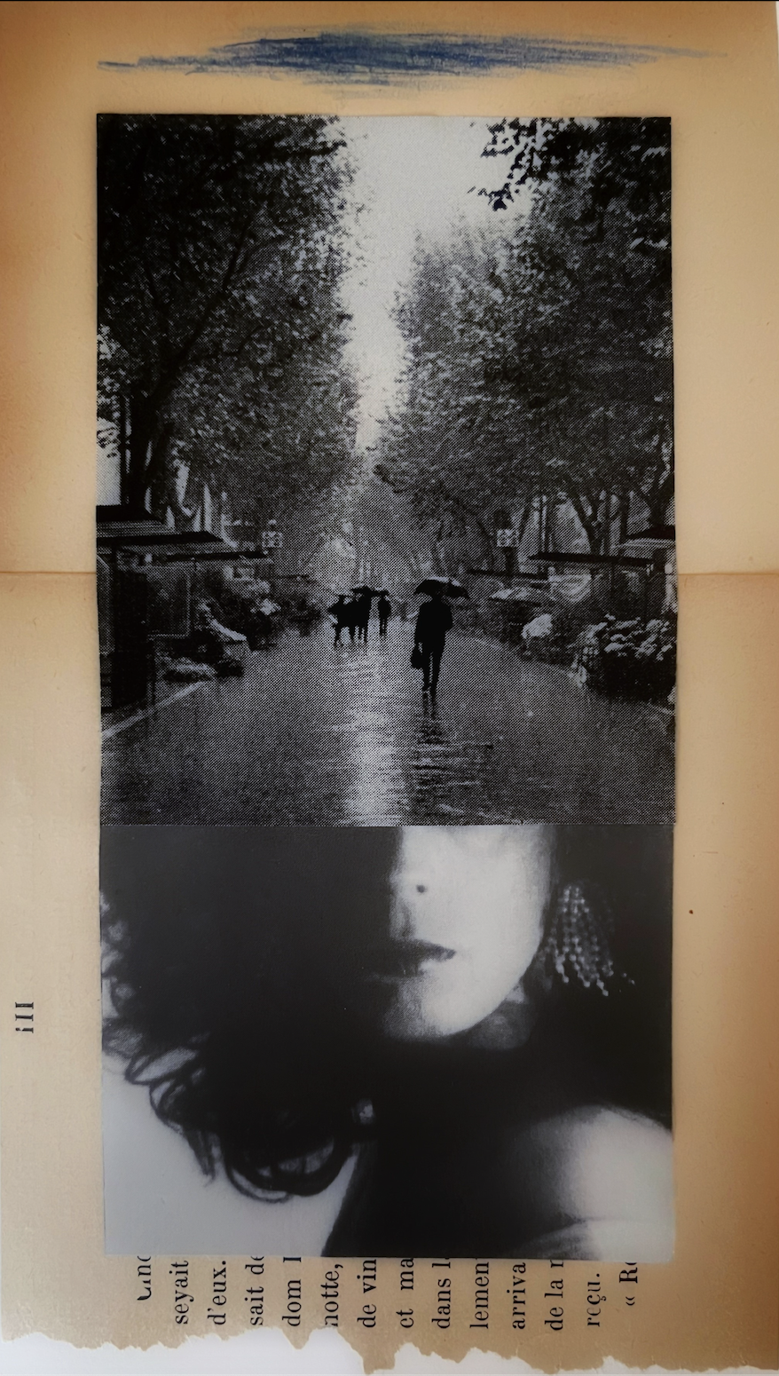 SCR fall website ong.png