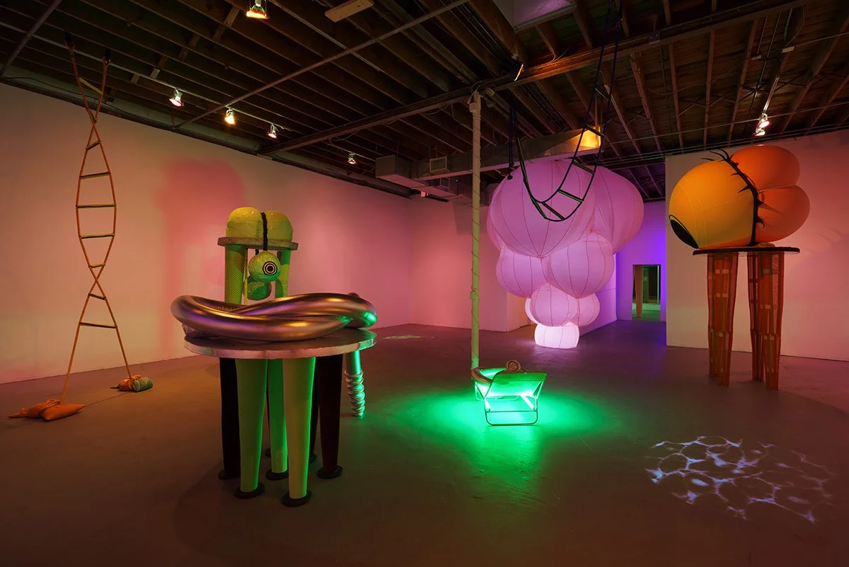 Image: Nancy Davidson at Locust Projects