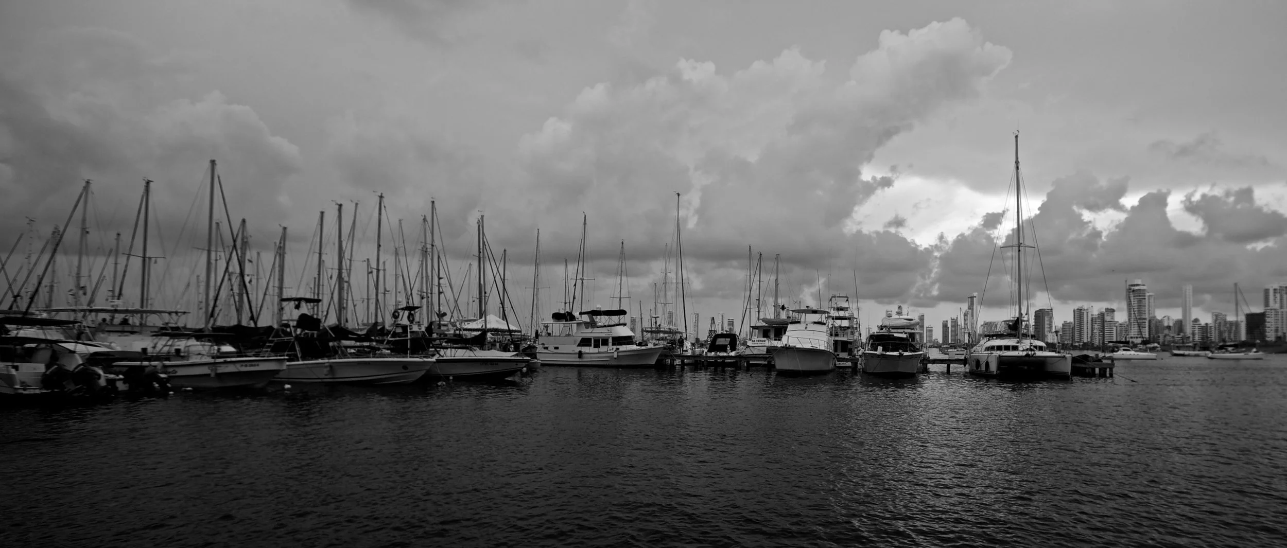 IMG_2129.jpg