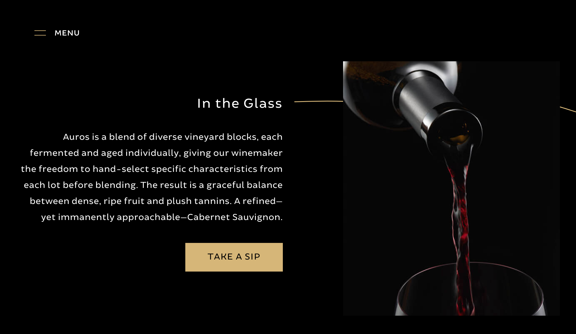 IN THE GLASS