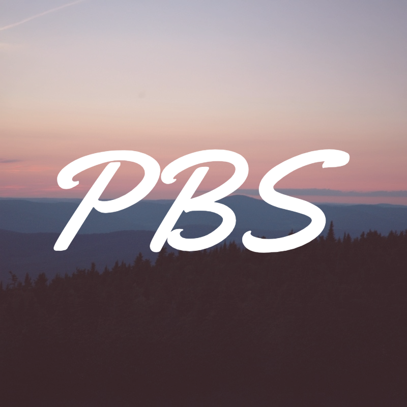PBS YT icon.png