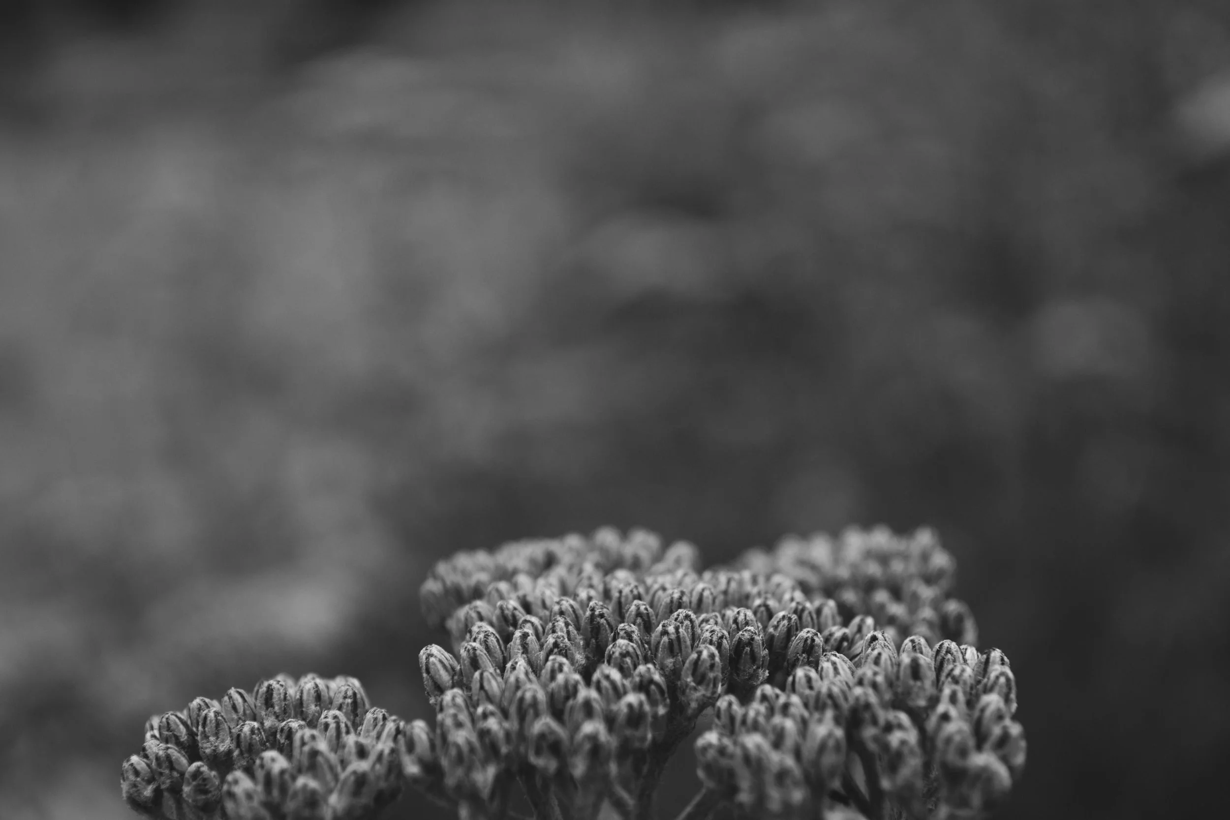 unnamed+(7).jpg