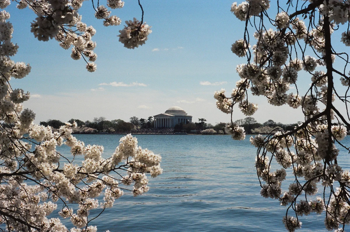 Washington D.C., USA