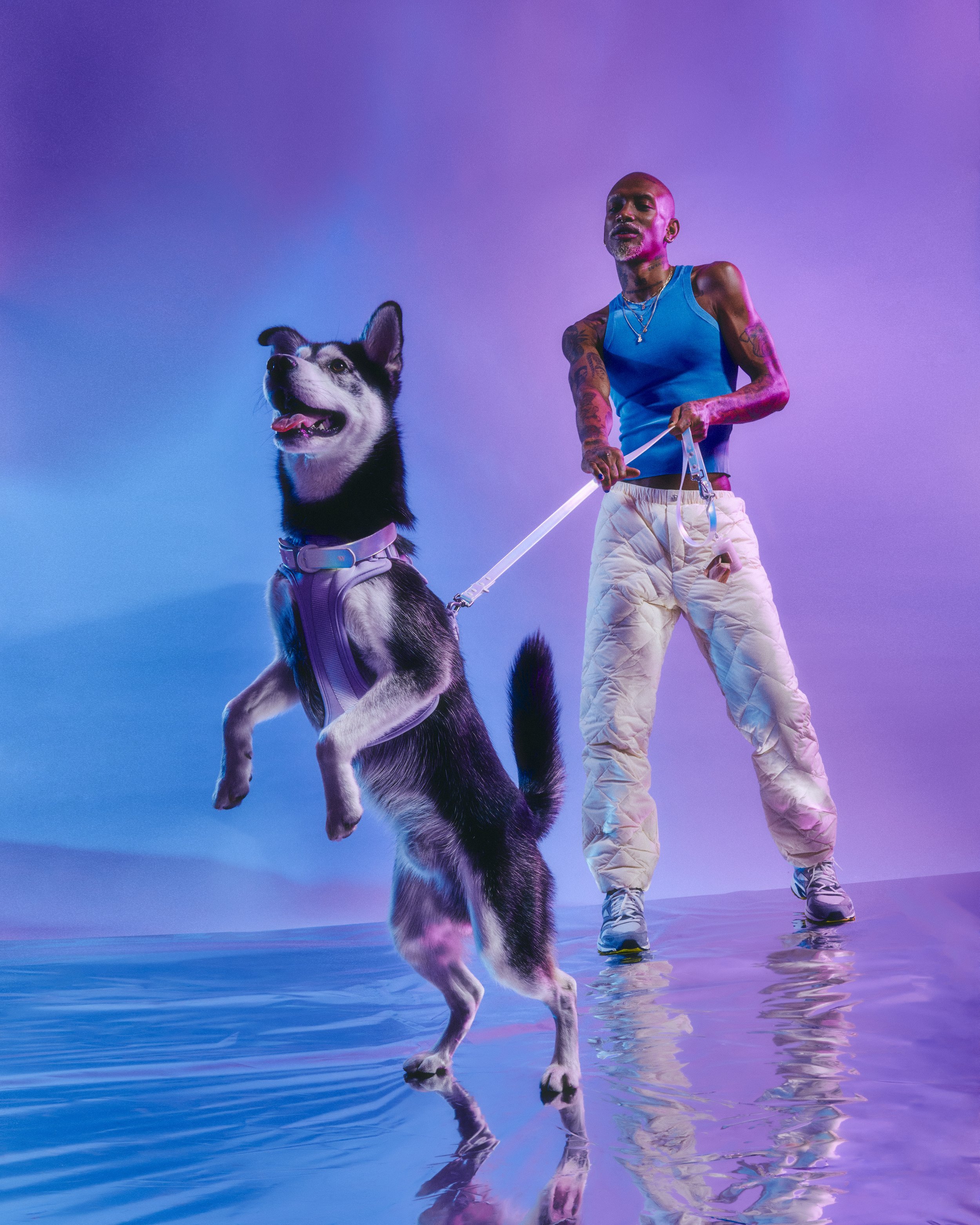 WO_VM_WalkKitCollar_Lunar_Harness_Lilac_SpaceFlairLunarCampaign_06_4x5_Print.jpg.jpeg