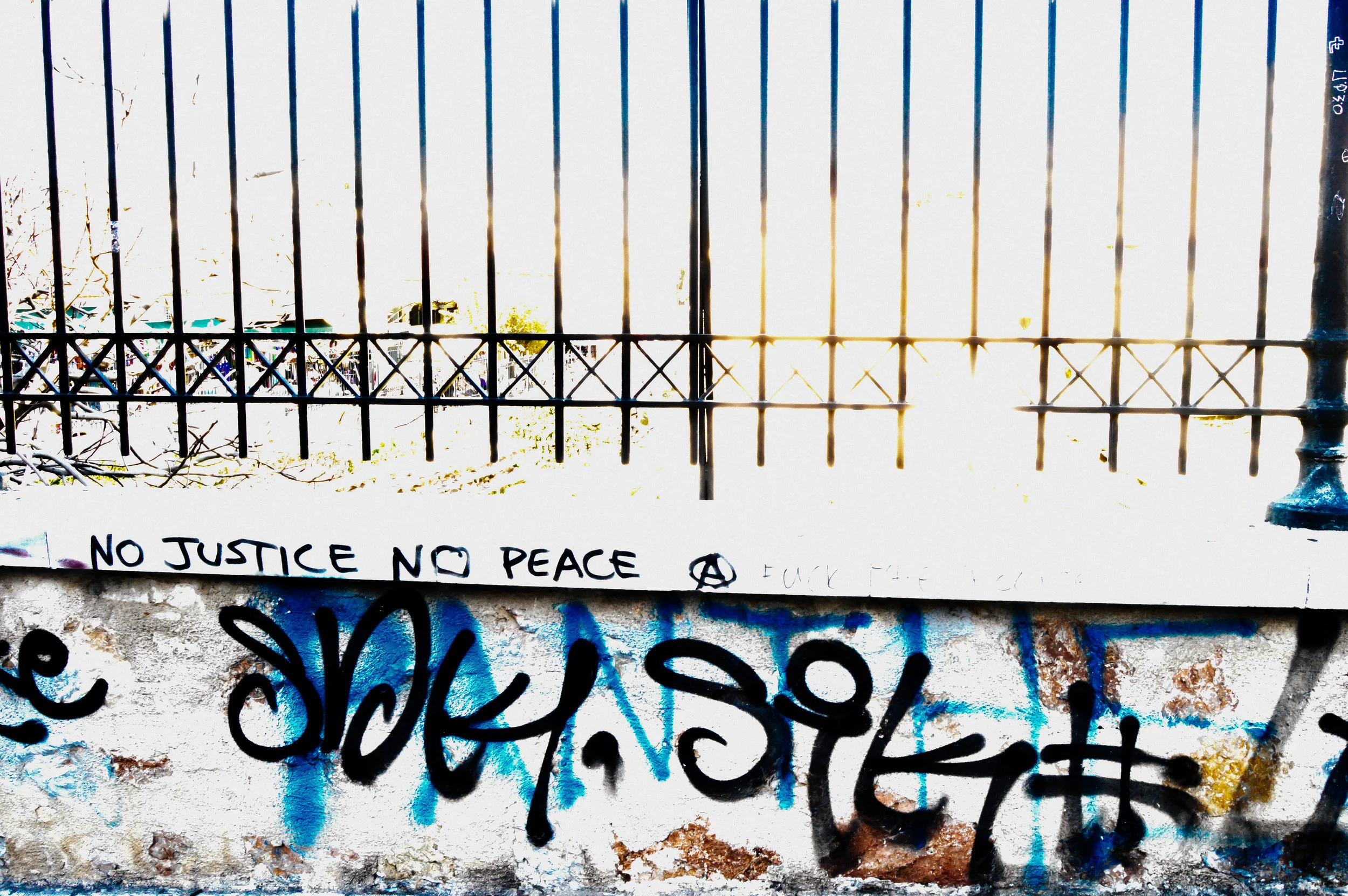 DSC_0805.jpg