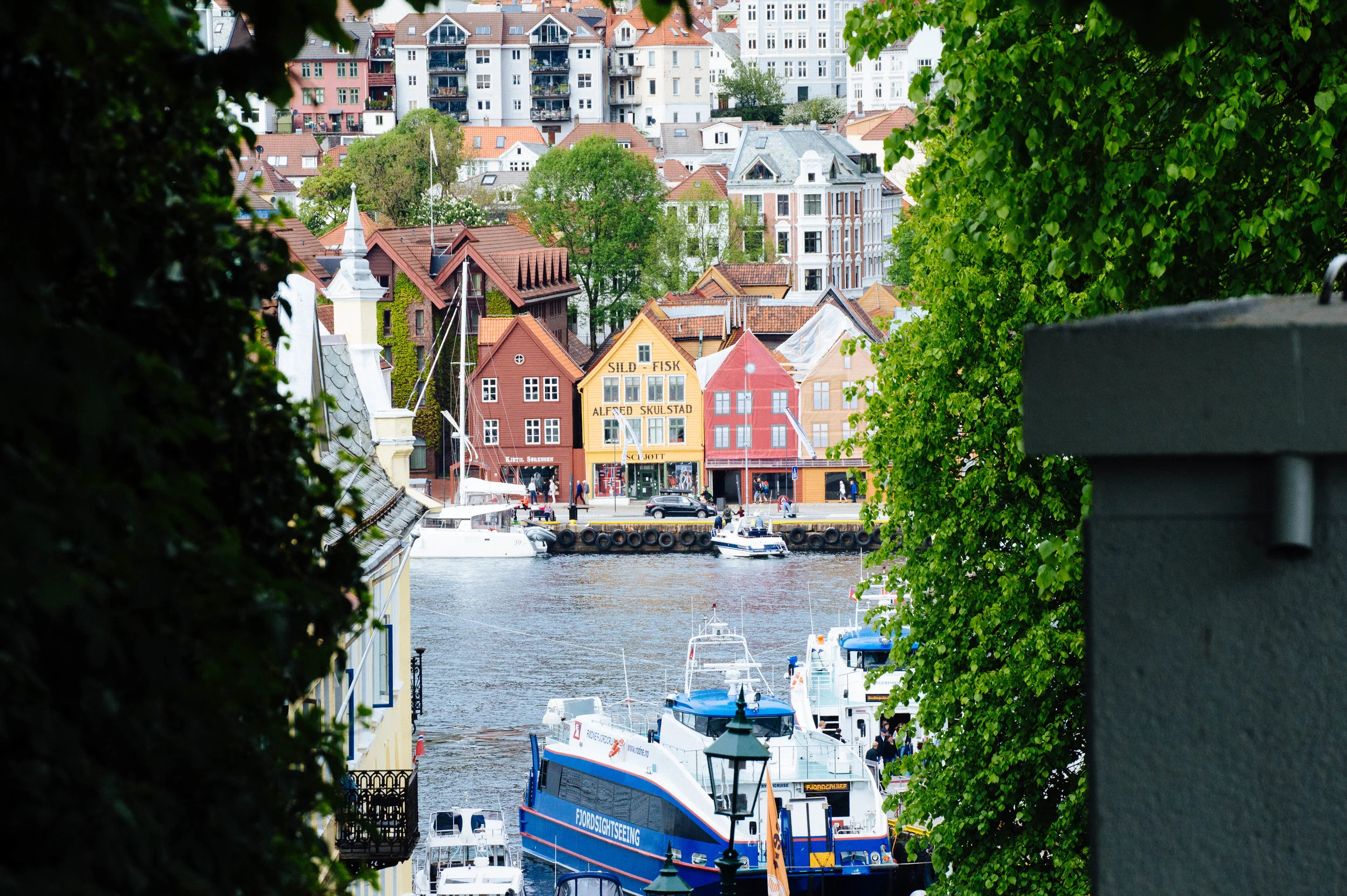 DSC_0601.jpg