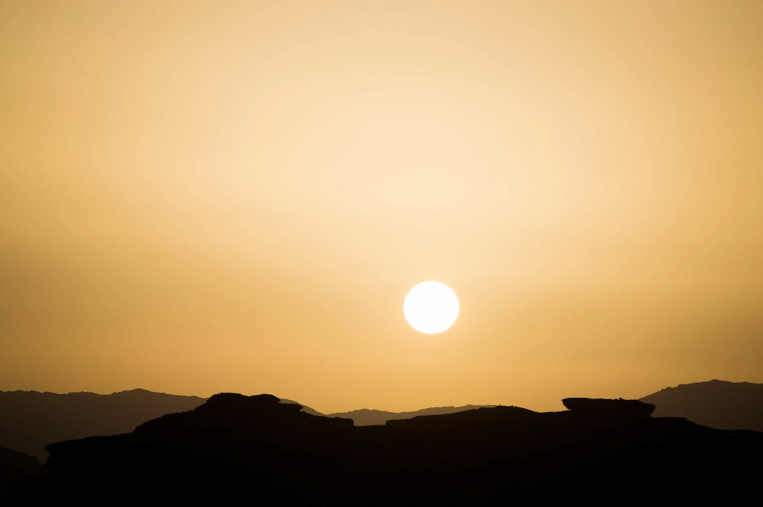 DSC_0594.jpg