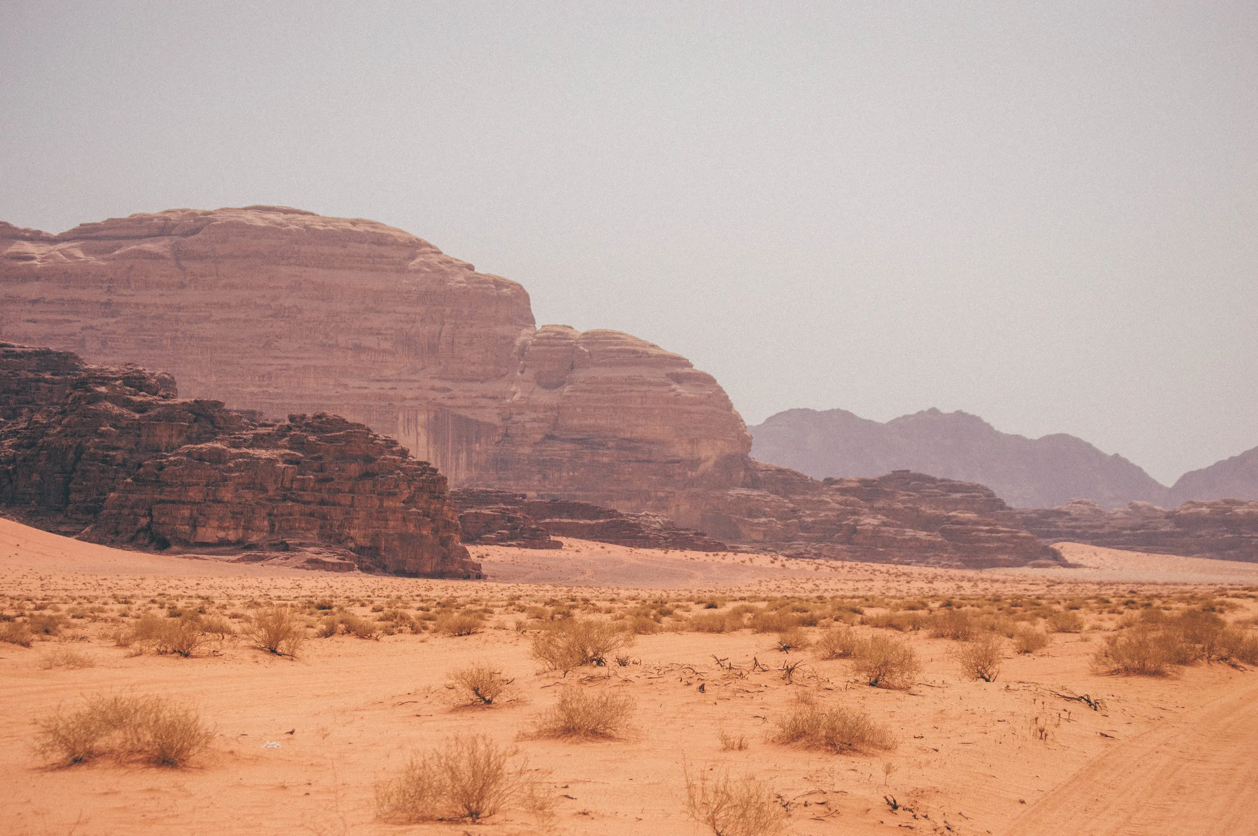 DSC_0506.jpg
