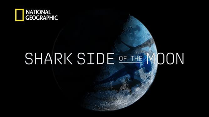 Shark Side of the Moon