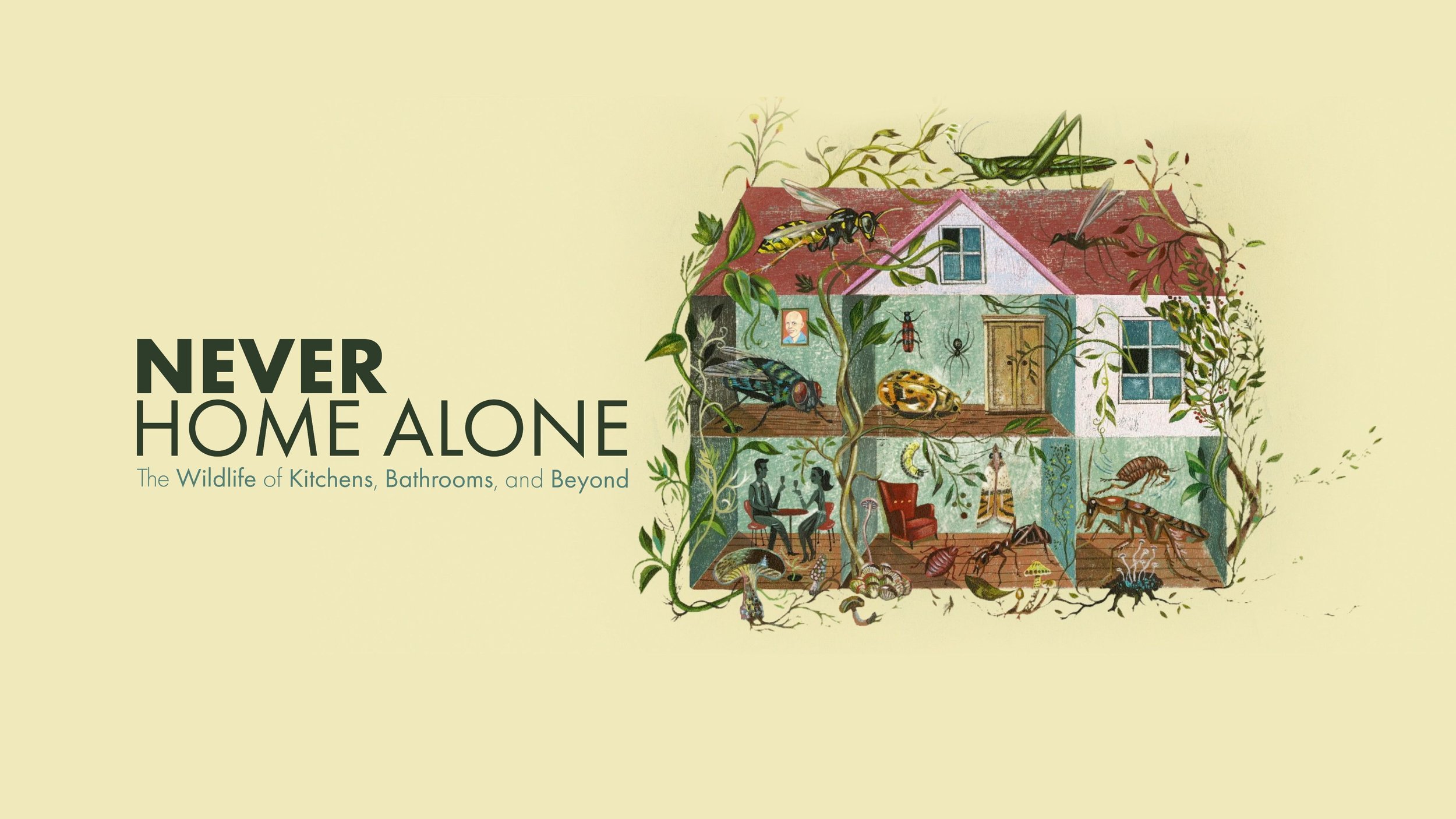 Never Home Alone