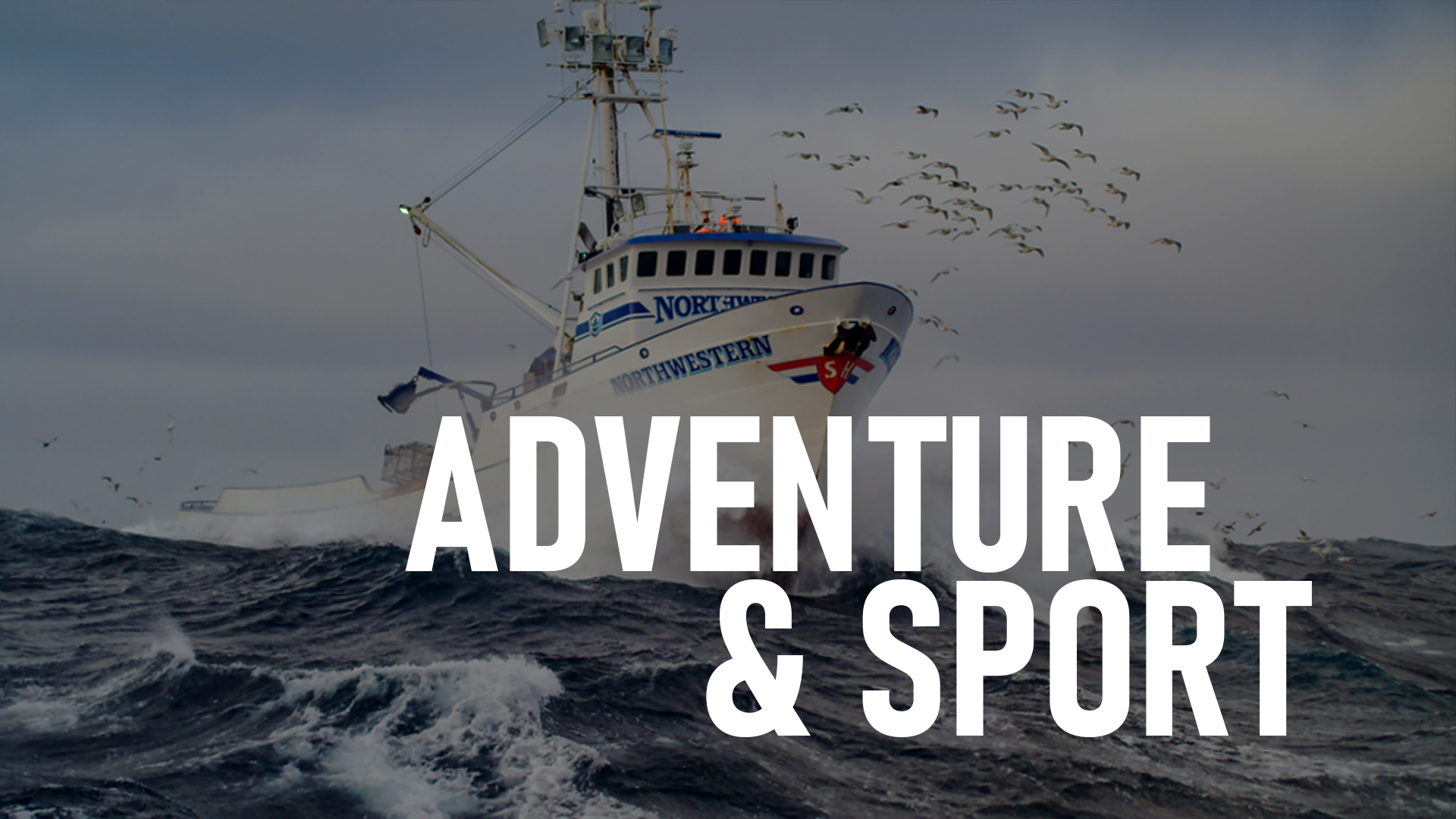 Portfolio Genre Thumnails - Adv Sport.png