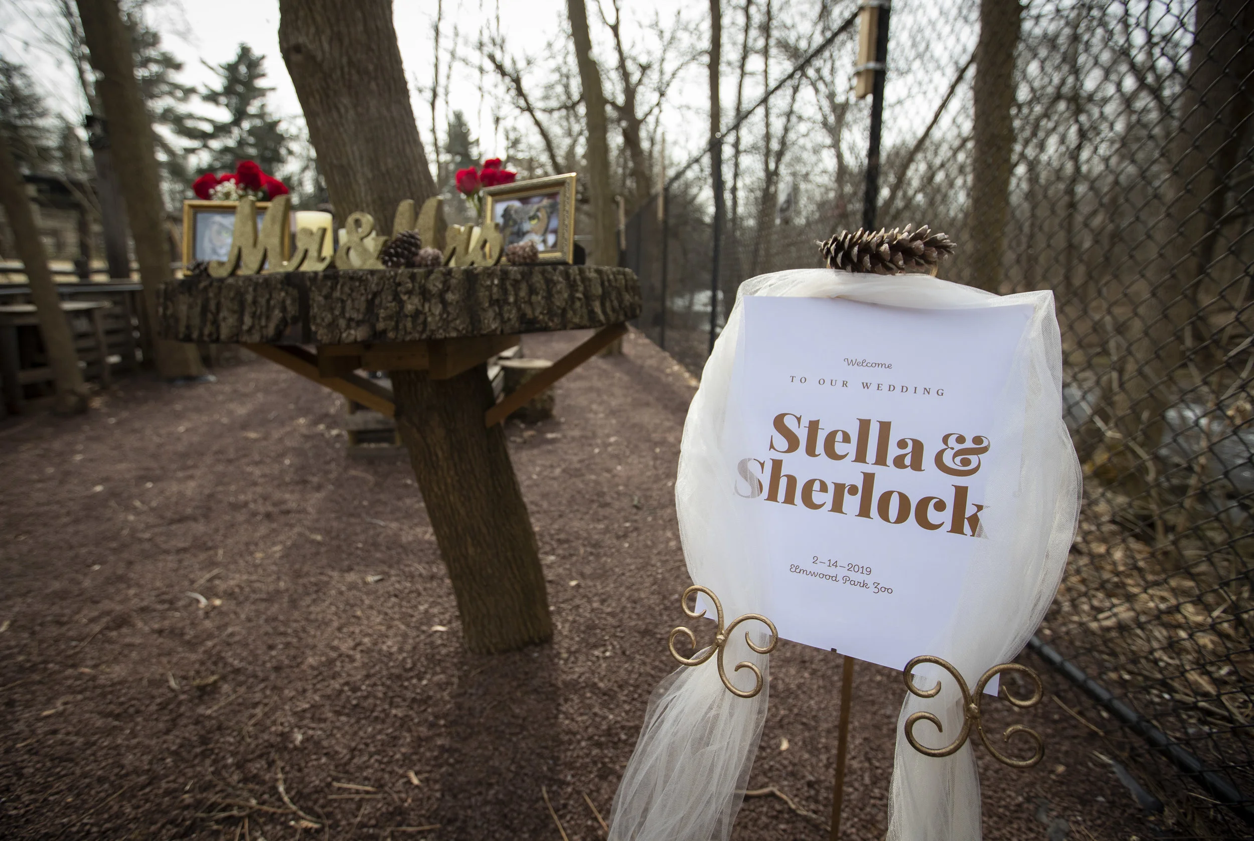 20190206_wedding_017 - Copy.JPG