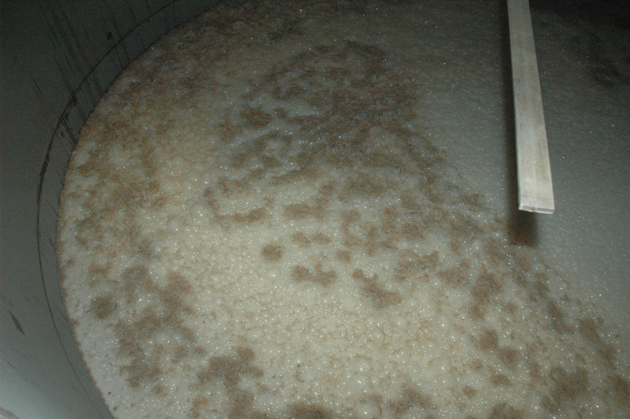 The wash at Glenfarclas Distillery