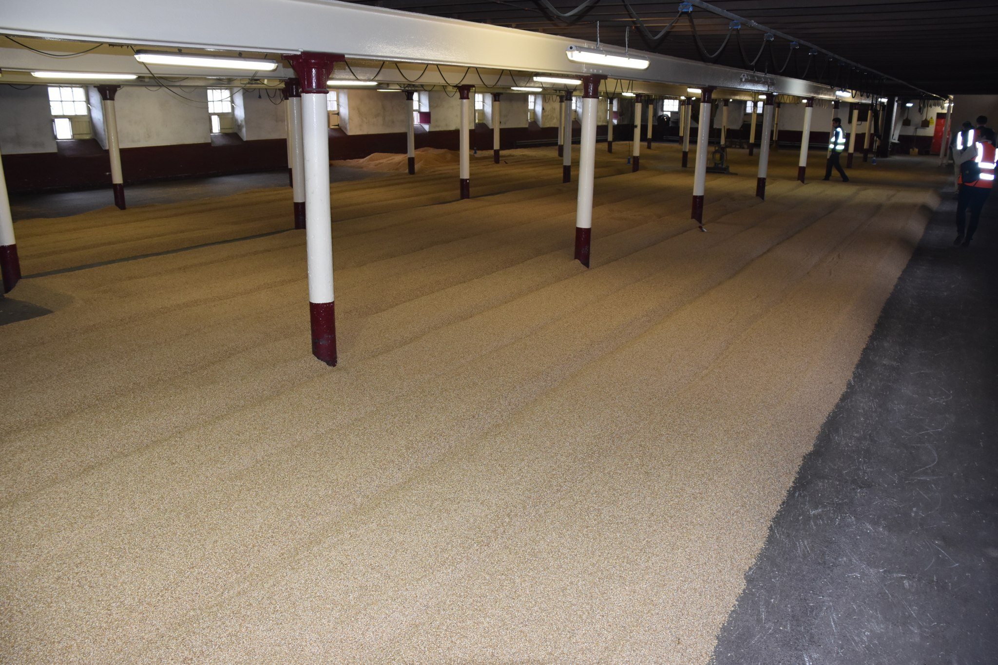 Balvenie Malting Floor