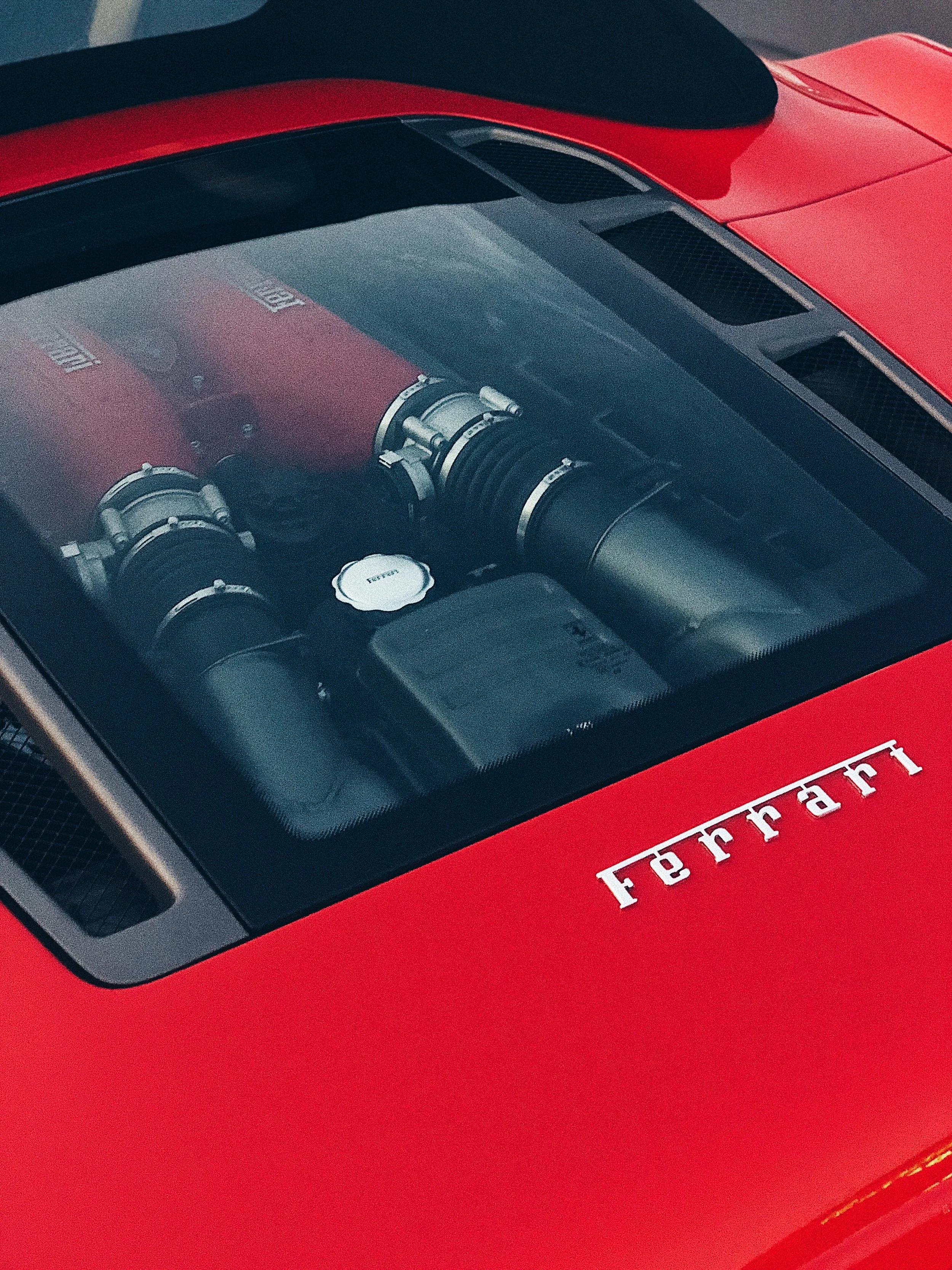 556FF6AF-3ECB-4E0C-AD0D-C49B52980F4C.JPG