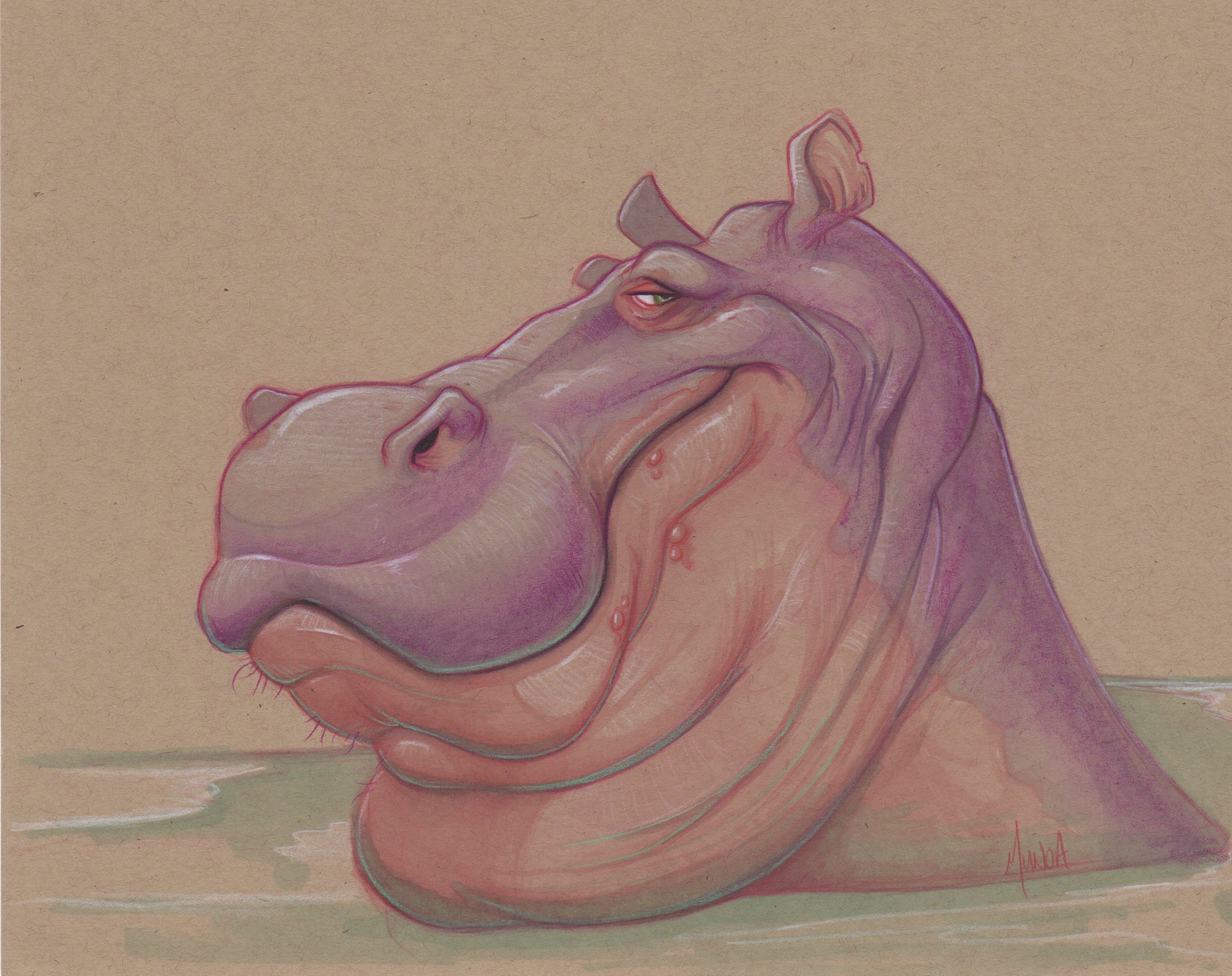 hippo-color-sketch.jpeg