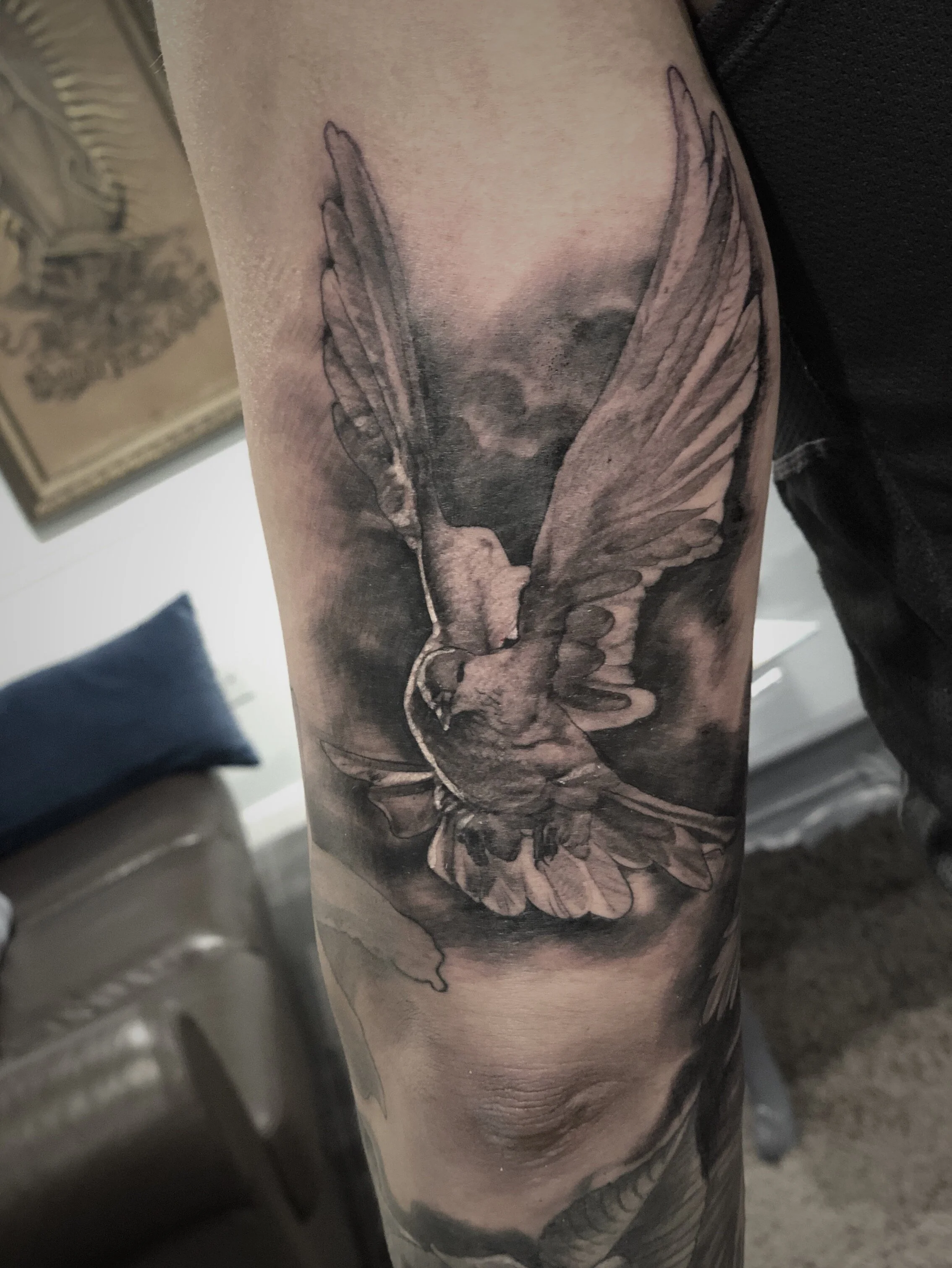 JPEG image-17081DC7A2F6-2.jpeg