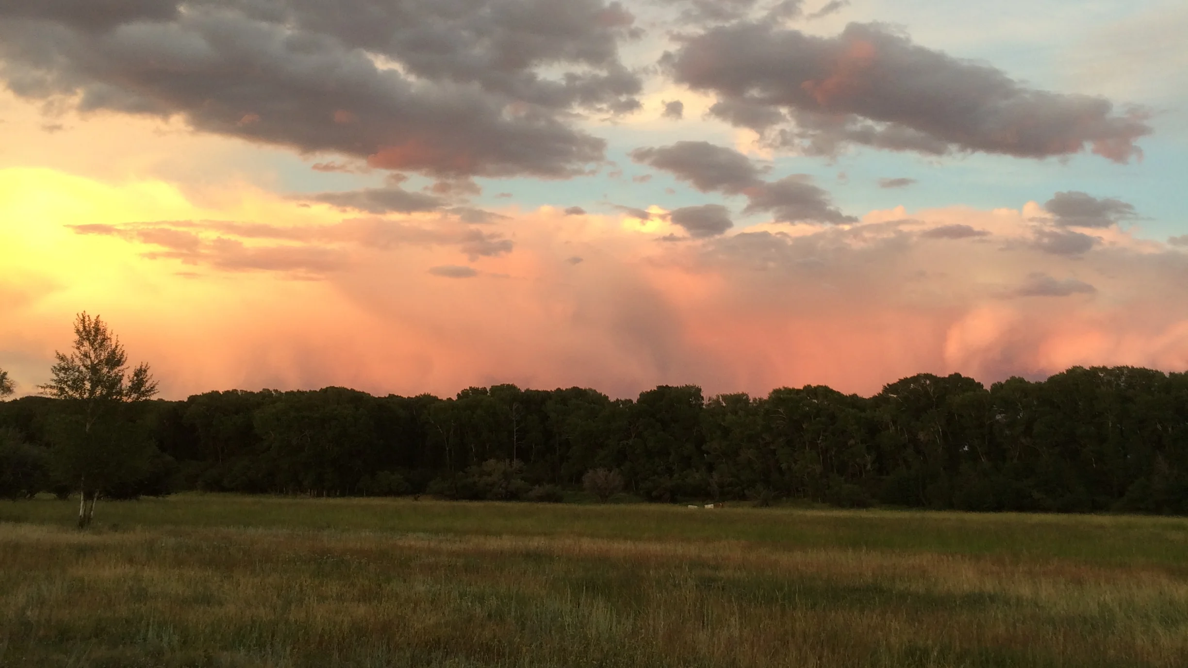 2014-08-15 20.08.49.jpg