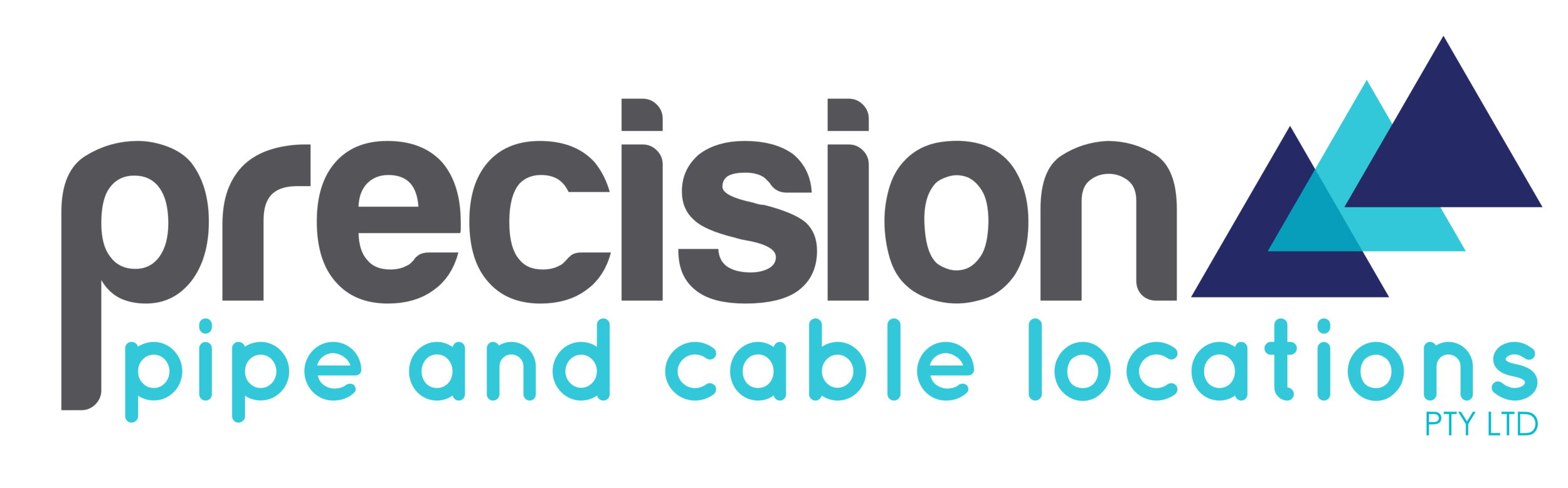 web vector banner.png