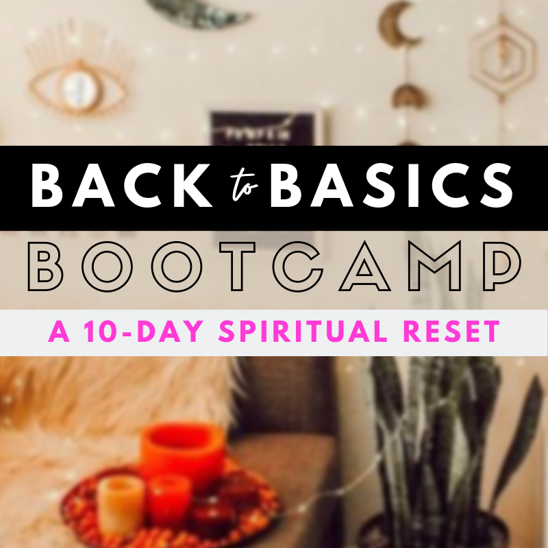Copy of Copy of Copy of BACK . BASICS.png