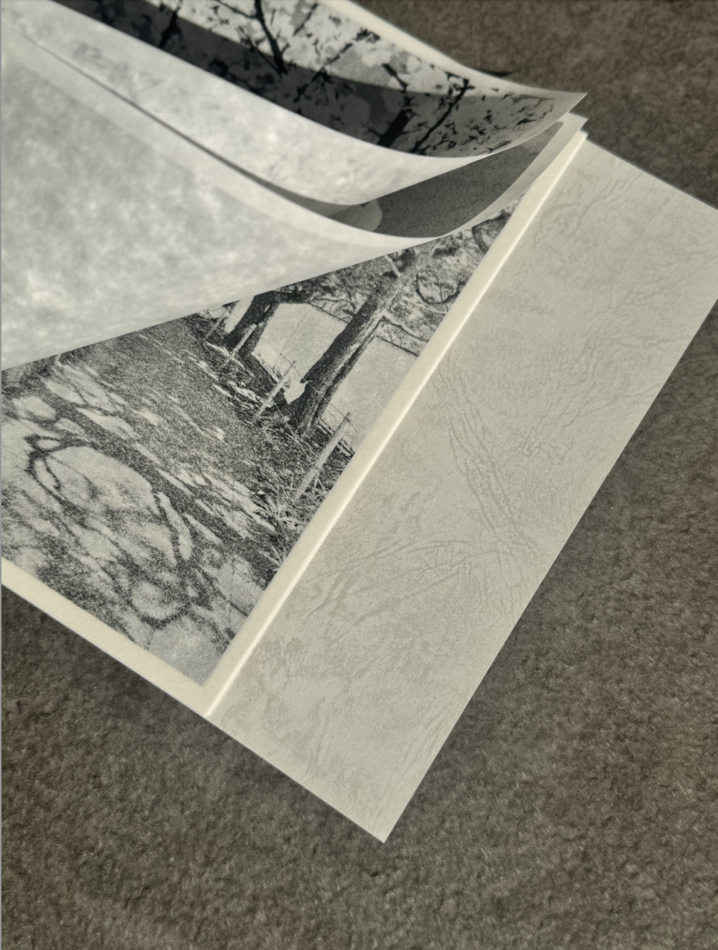 Screenshot 2025-11-26 at 4.16.54 PM.png