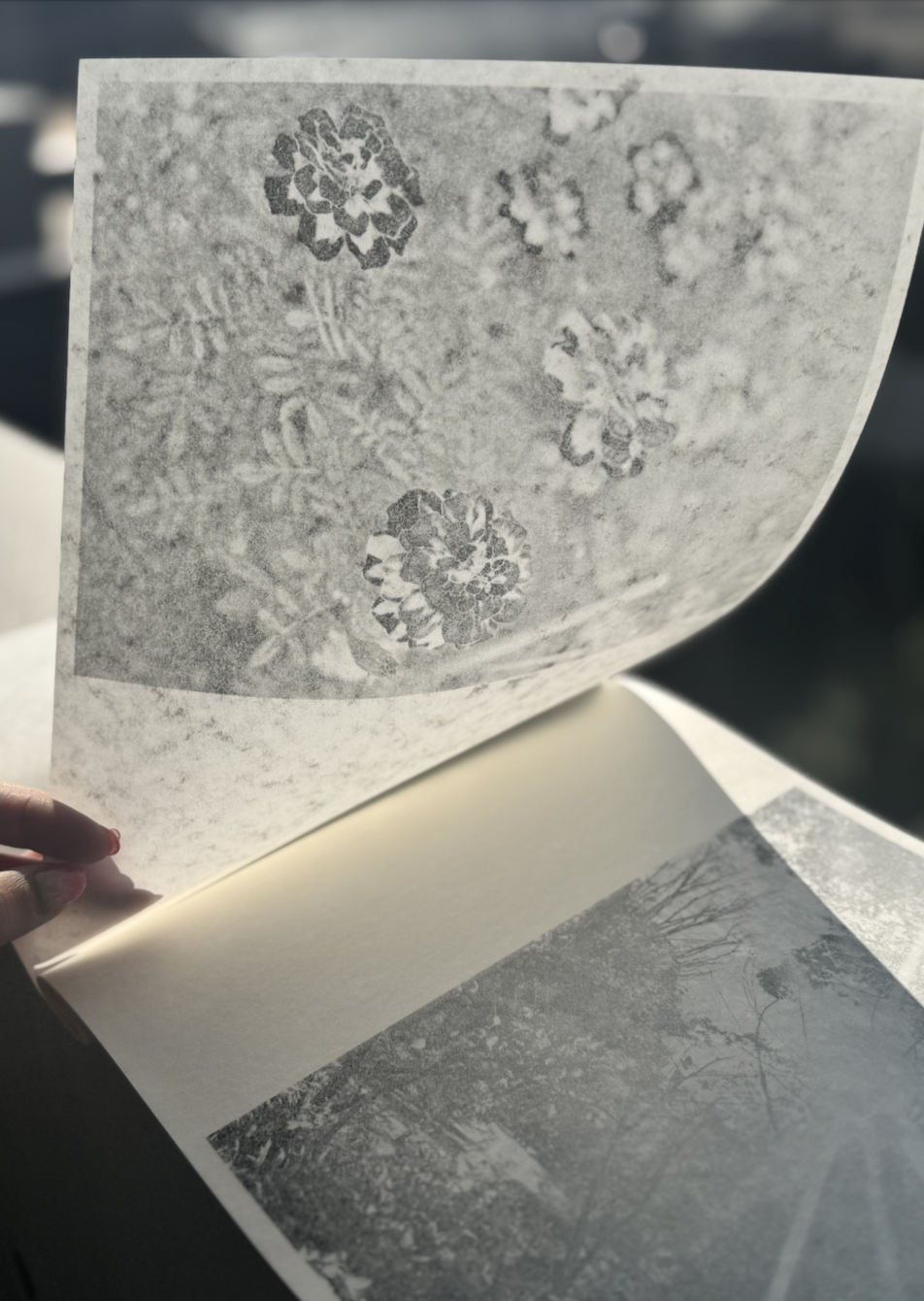 Screenshot 2025-11-26 at 4.17.10 PM.png