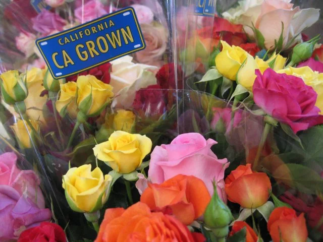 CA GROWN.jpg