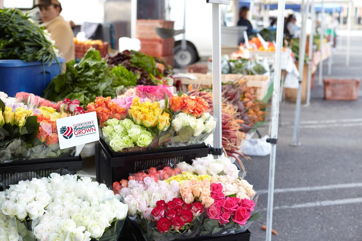 American Grown Image Farmers Market.jpg