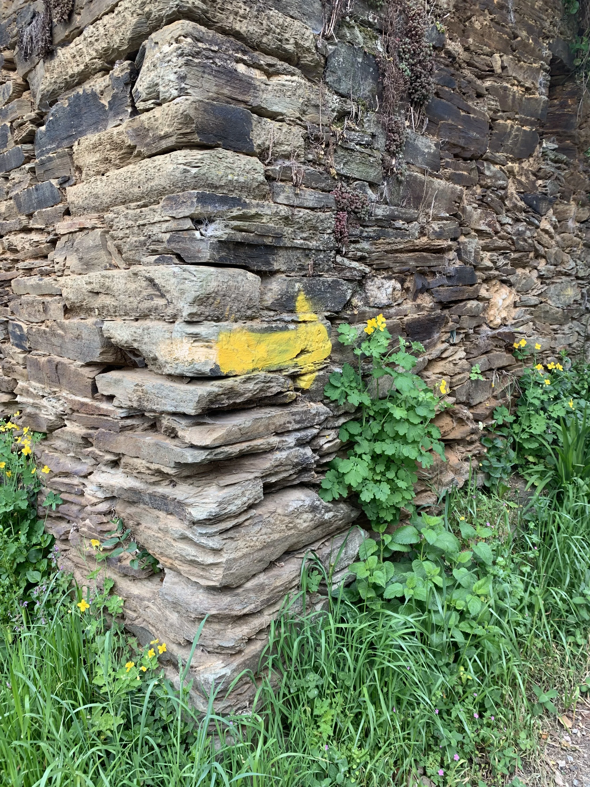 Following the Signs: Camino day 3 &amp; 4