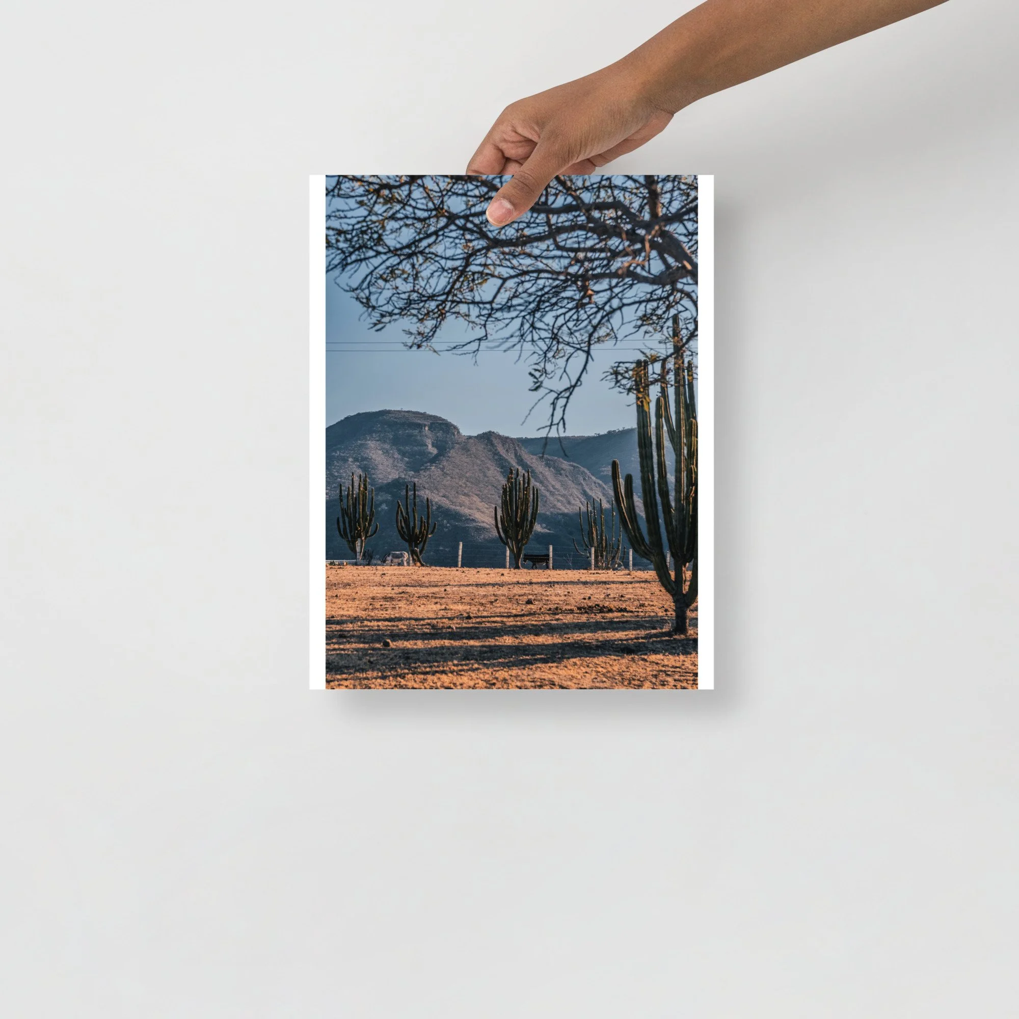 premium-luster-photo-paper-poster-(in)-11x14-front-6833cb218f14a.jpg