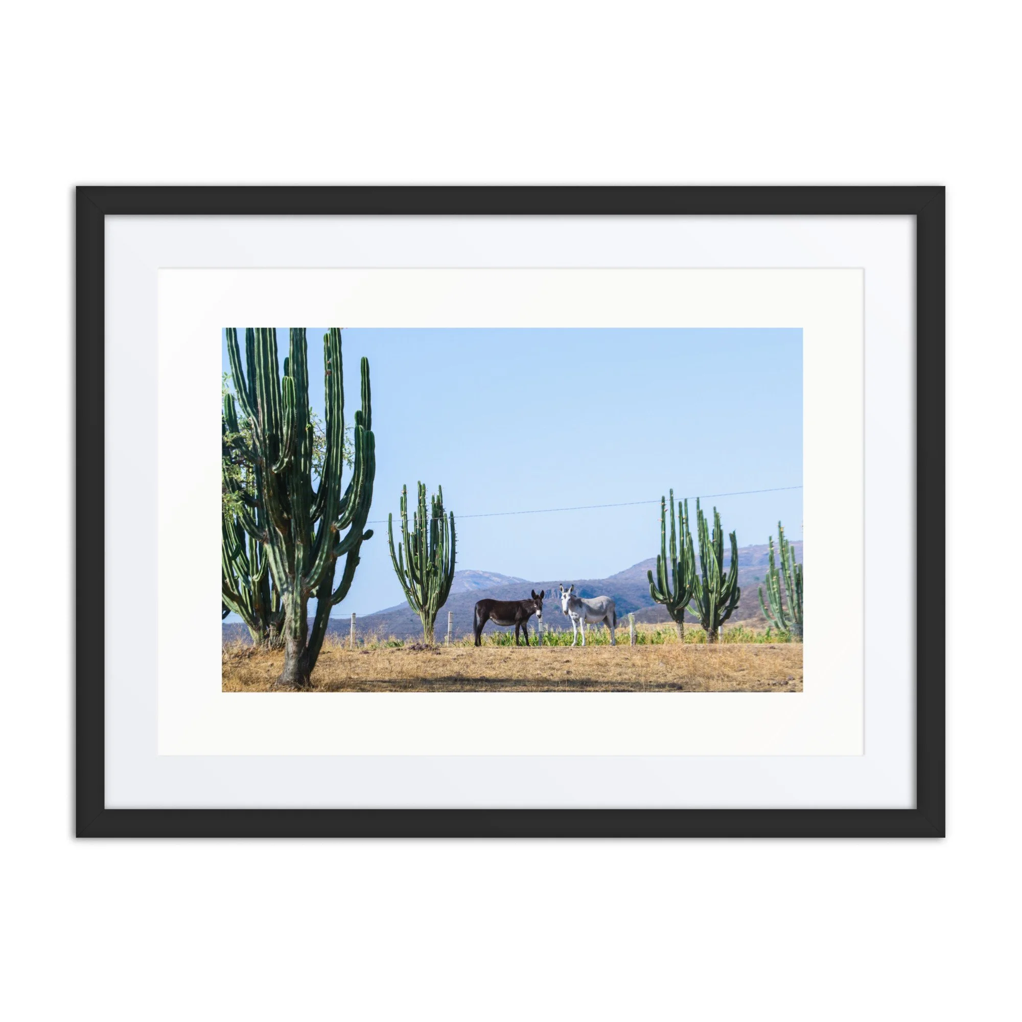 matte-paper-framed-poster-with-mat-(in)-black-18x24-front-6833d05007c18.jpg