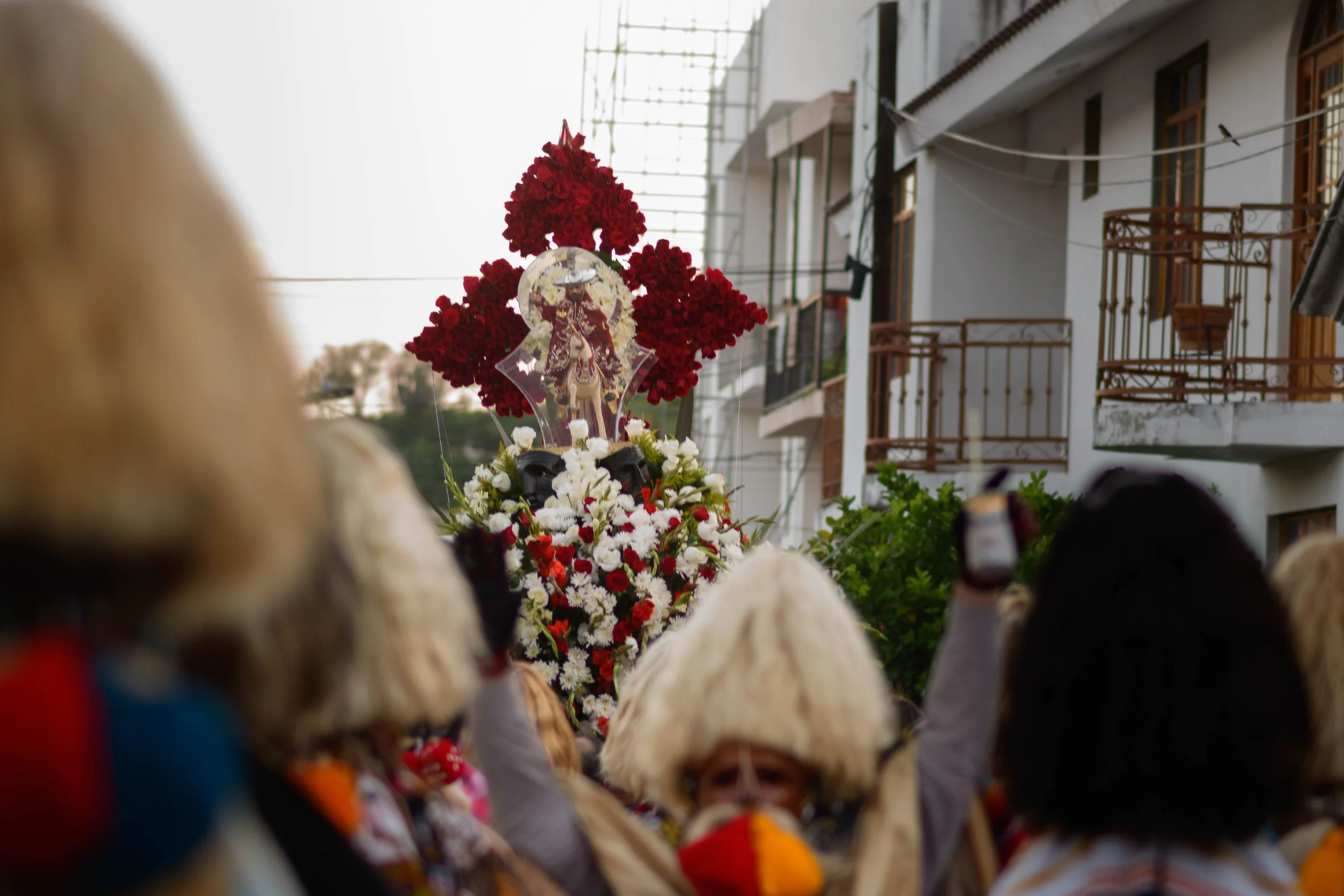 Moyahua 25 de Julio 2026-38.jpg