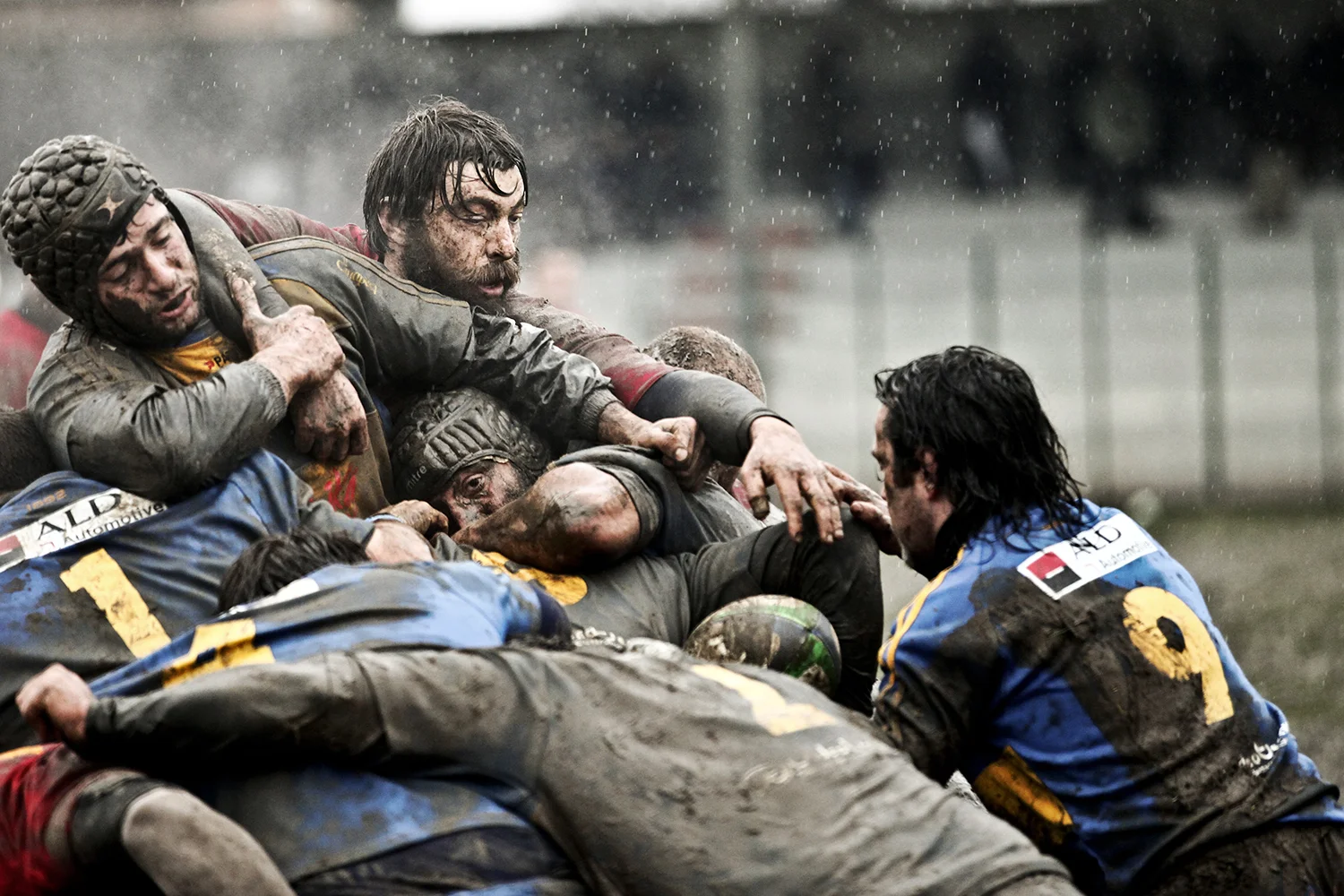  Rugby 