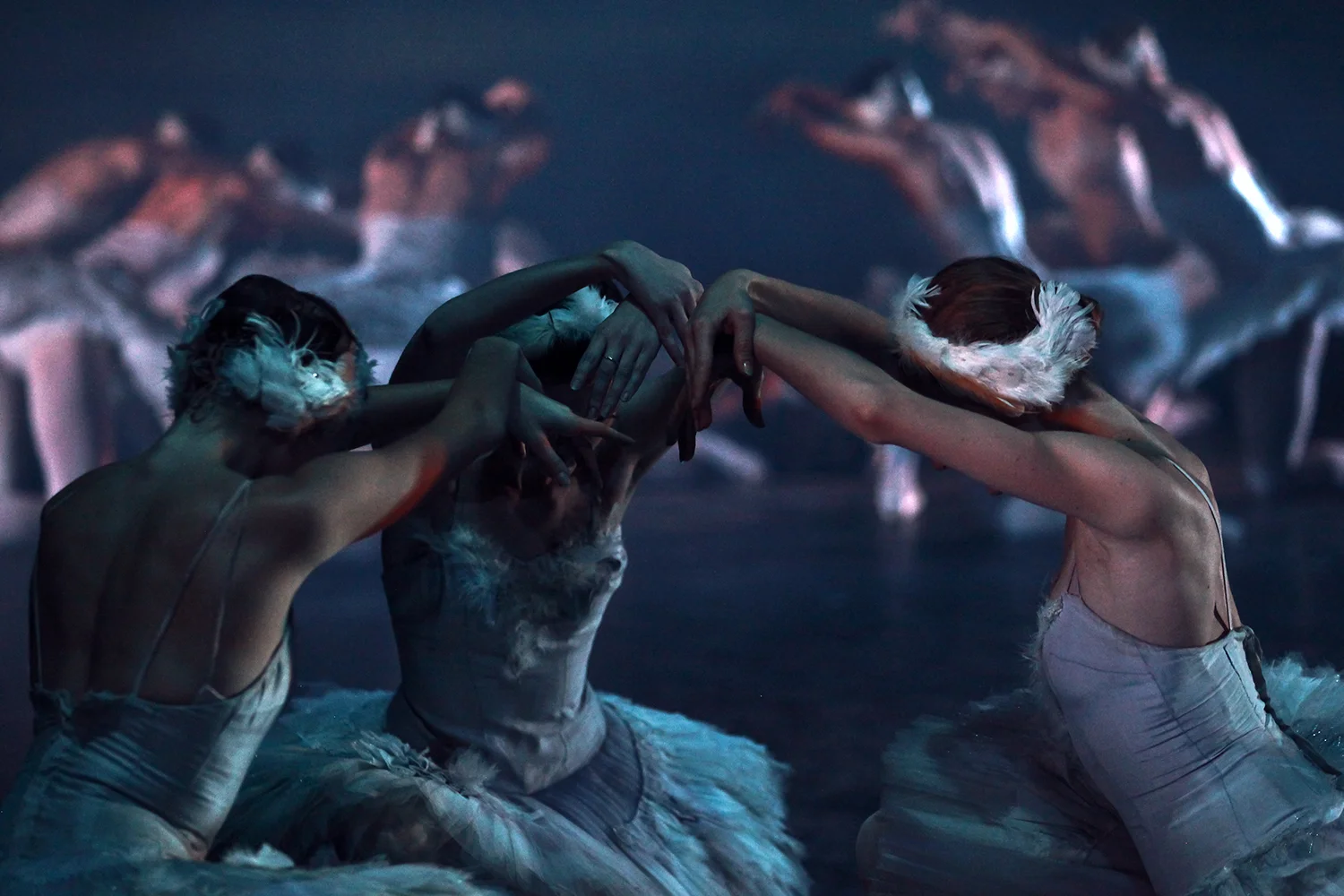  Ballet of Moscow, Swan Lake 