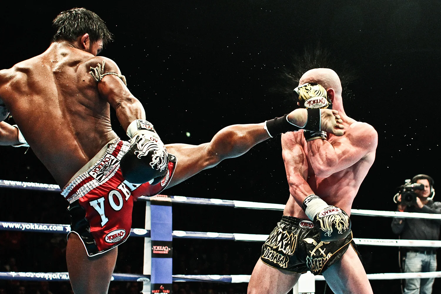  Martial Arts 